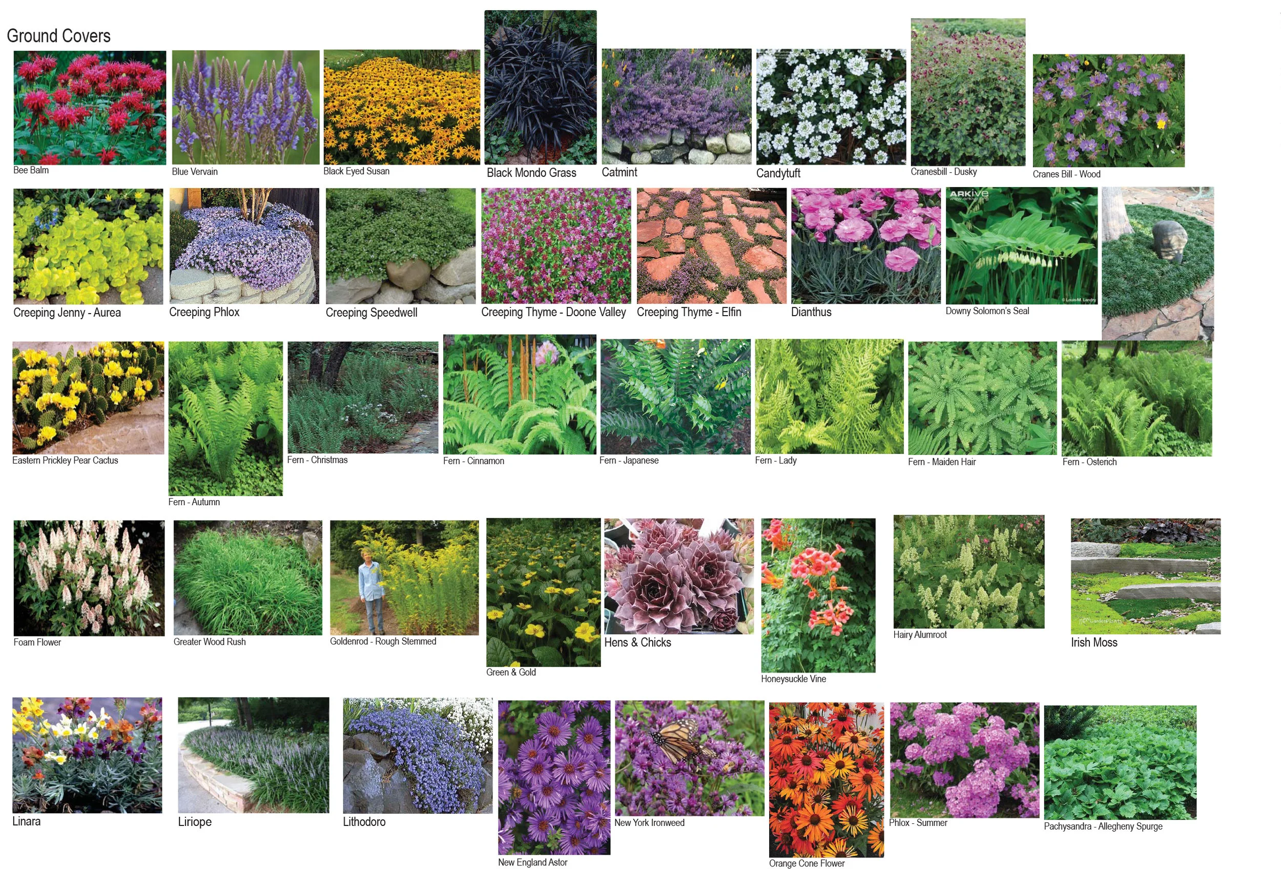 Plant Pallet-4.jpg