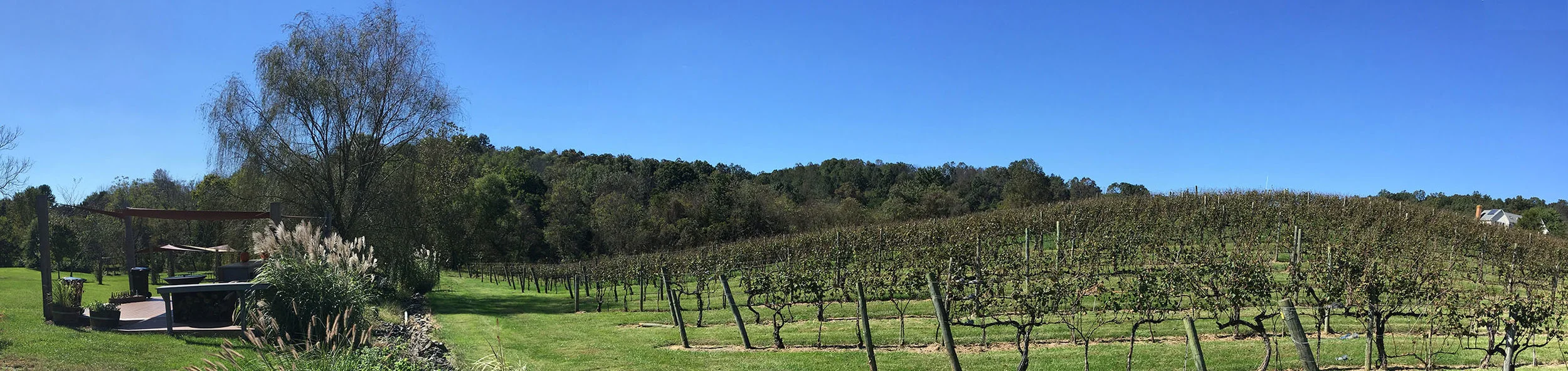 Photo image of Pearmund Cellars Winery