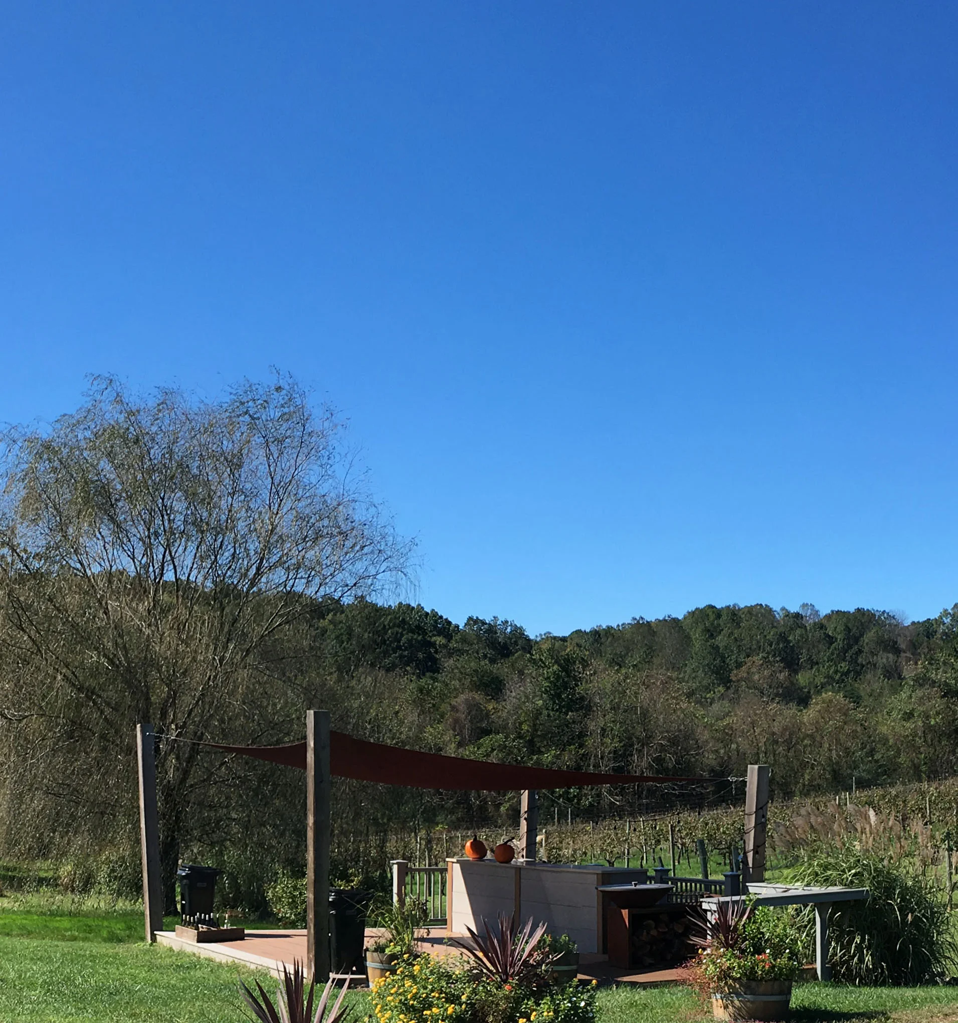 Photo image of Pearmund Cellars Winery