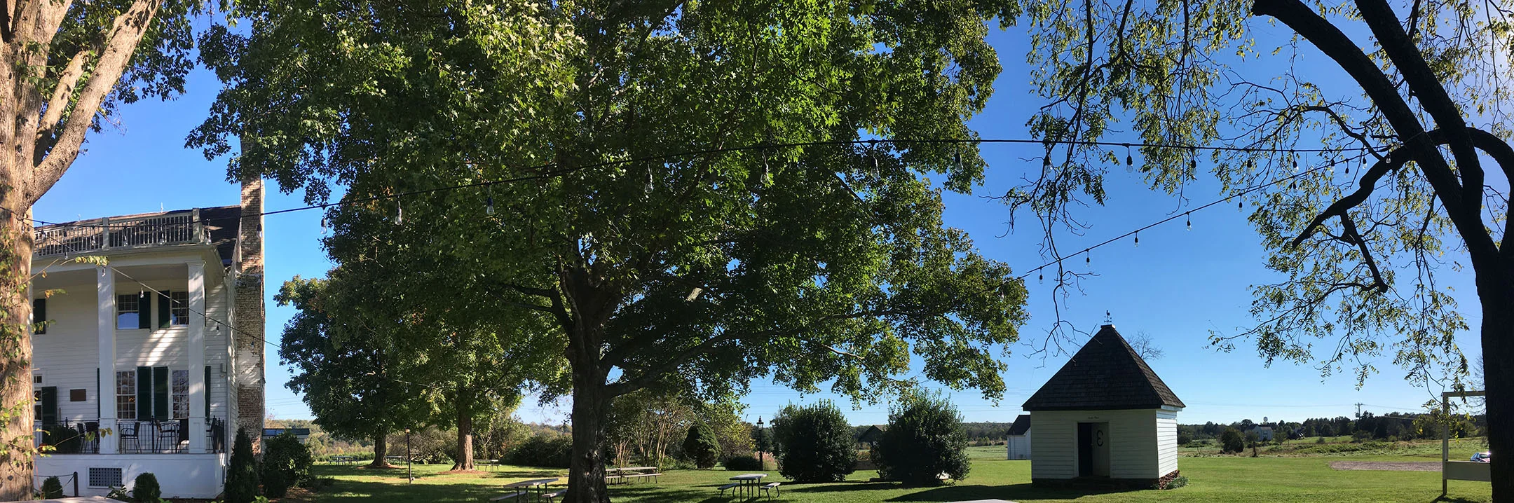 Photo image of existing side yard area adjacent to old well house