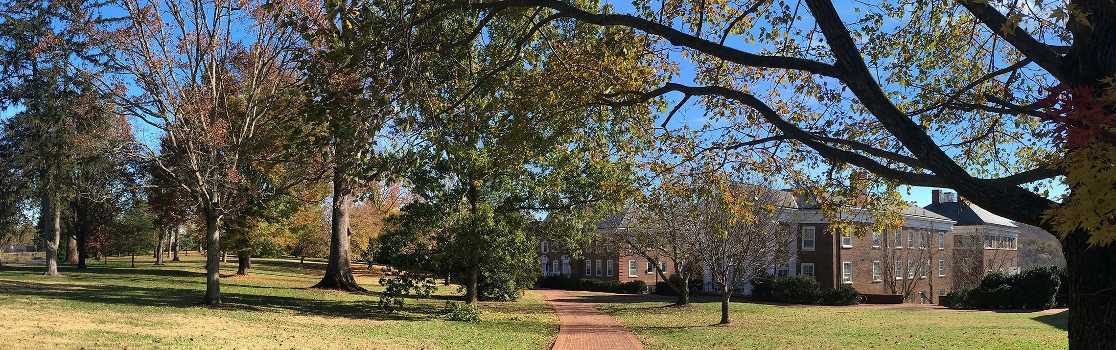 pano4.jpg