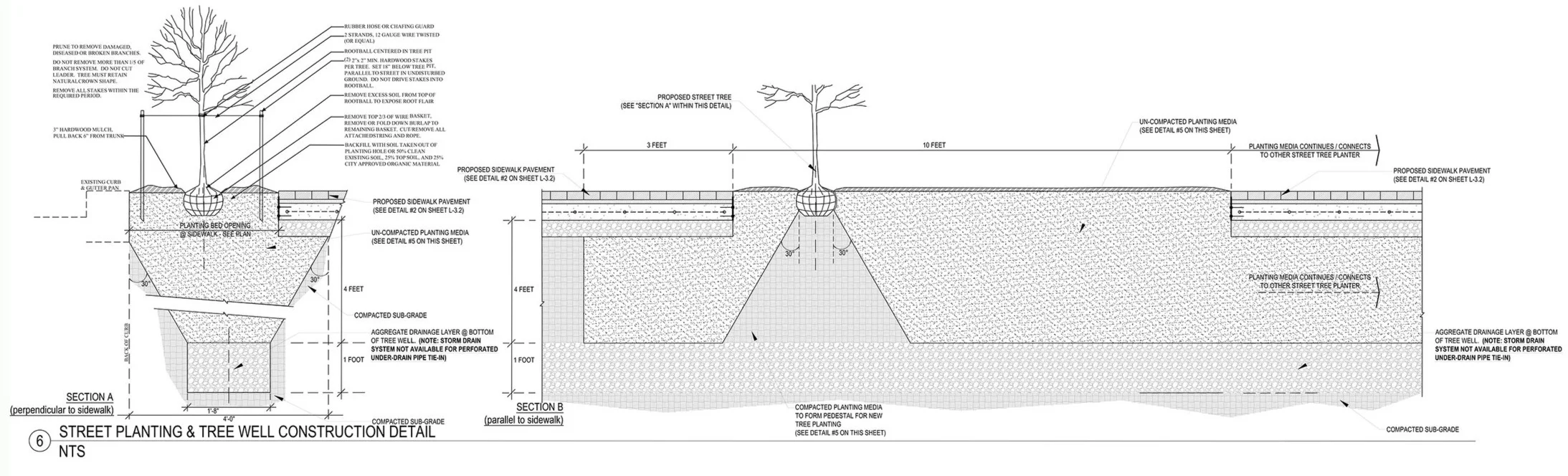 street+tree+section.jpg