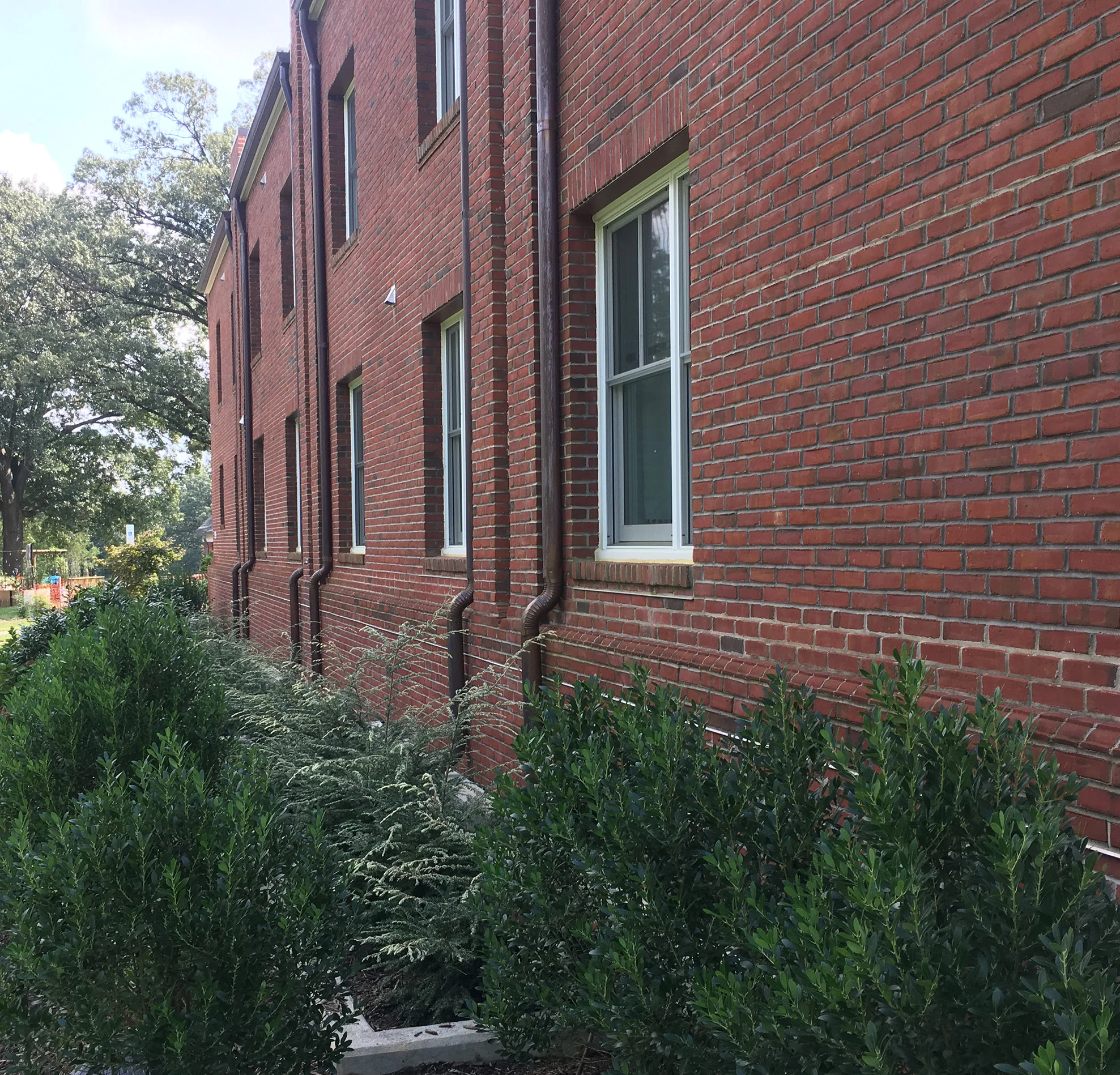 Photo showing planted bio-retention boxes - fall of 2019.