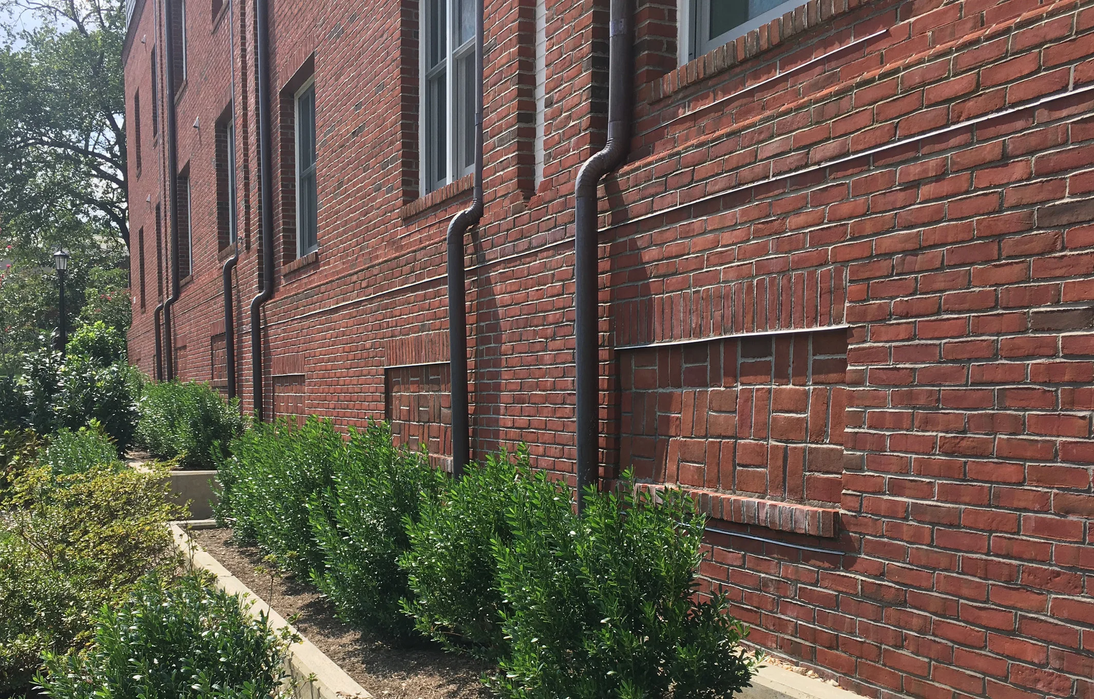 Planted bio-retention boxes capture rain from rooftop watershed footprint, for infiltration & recharge of ground water, as well as reduction of run-off to down-stream water facilities (overflow to bio-retention ponds). Photo taken post-construction 2017.