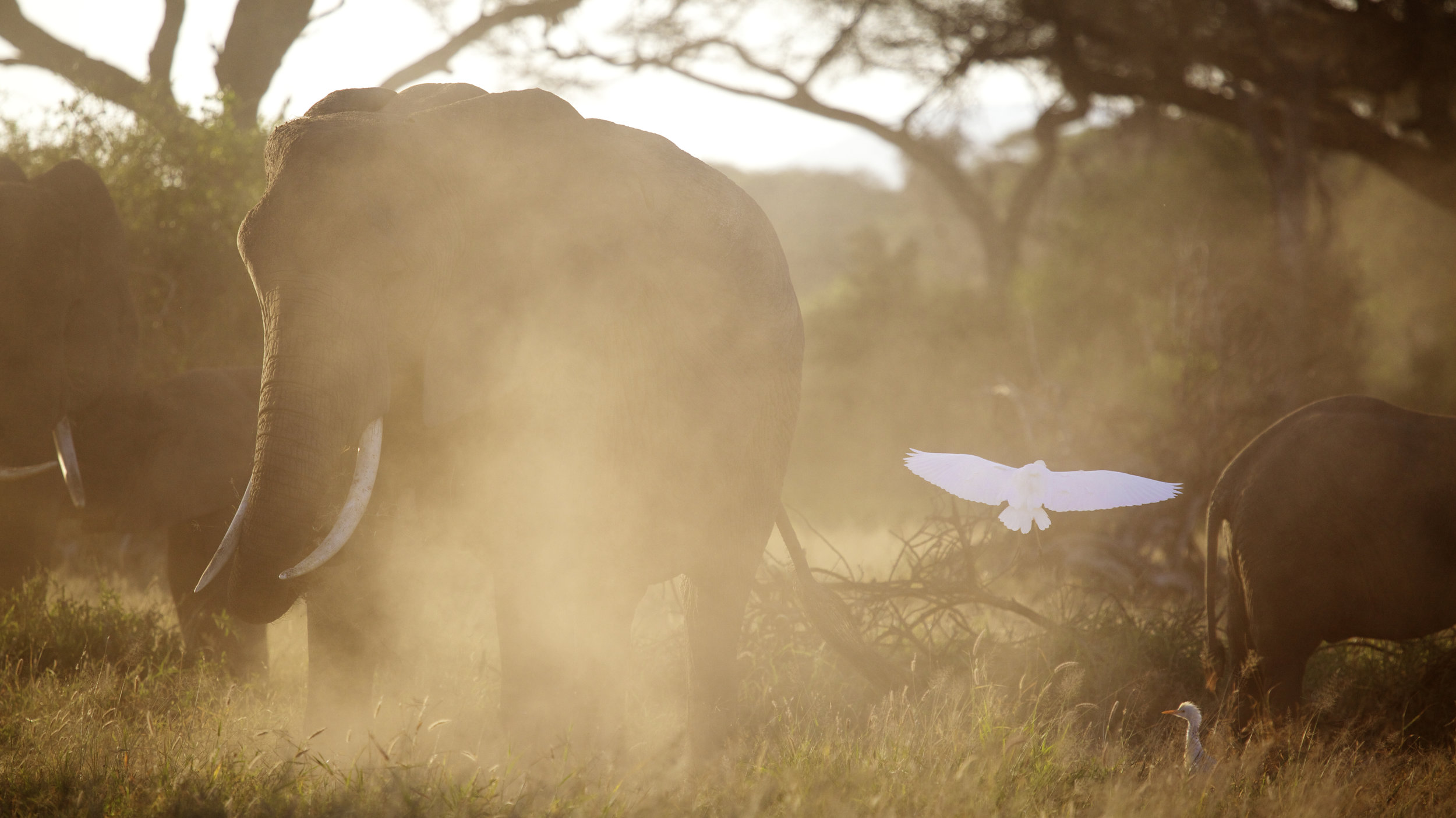 Kenya 2014 - ©Benjamin Sadd @trailtoanywhere 16053.jpg