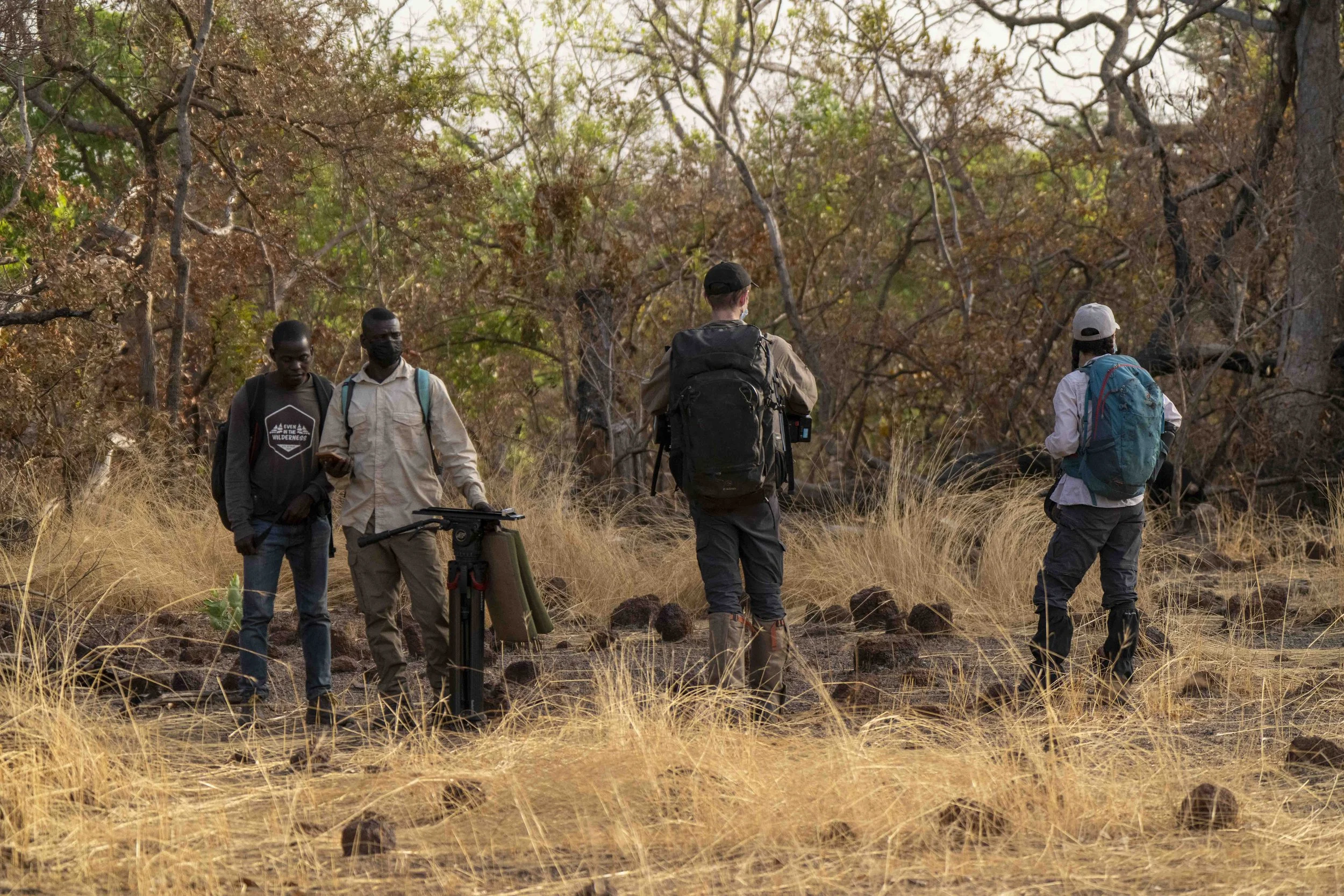Benjamin Sadd_Humanlike-Chimps of Fongoli-0729.jpg