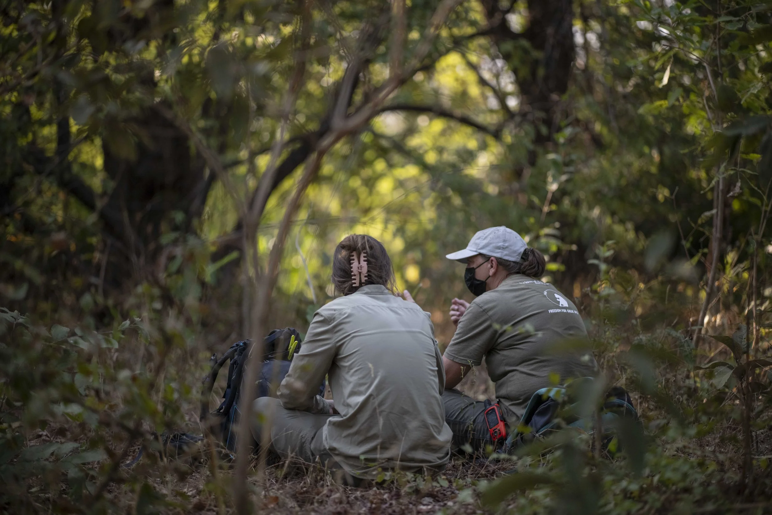 Benjamin Sadd_Humanlike-Chimps of Fongoli-2645.jpg