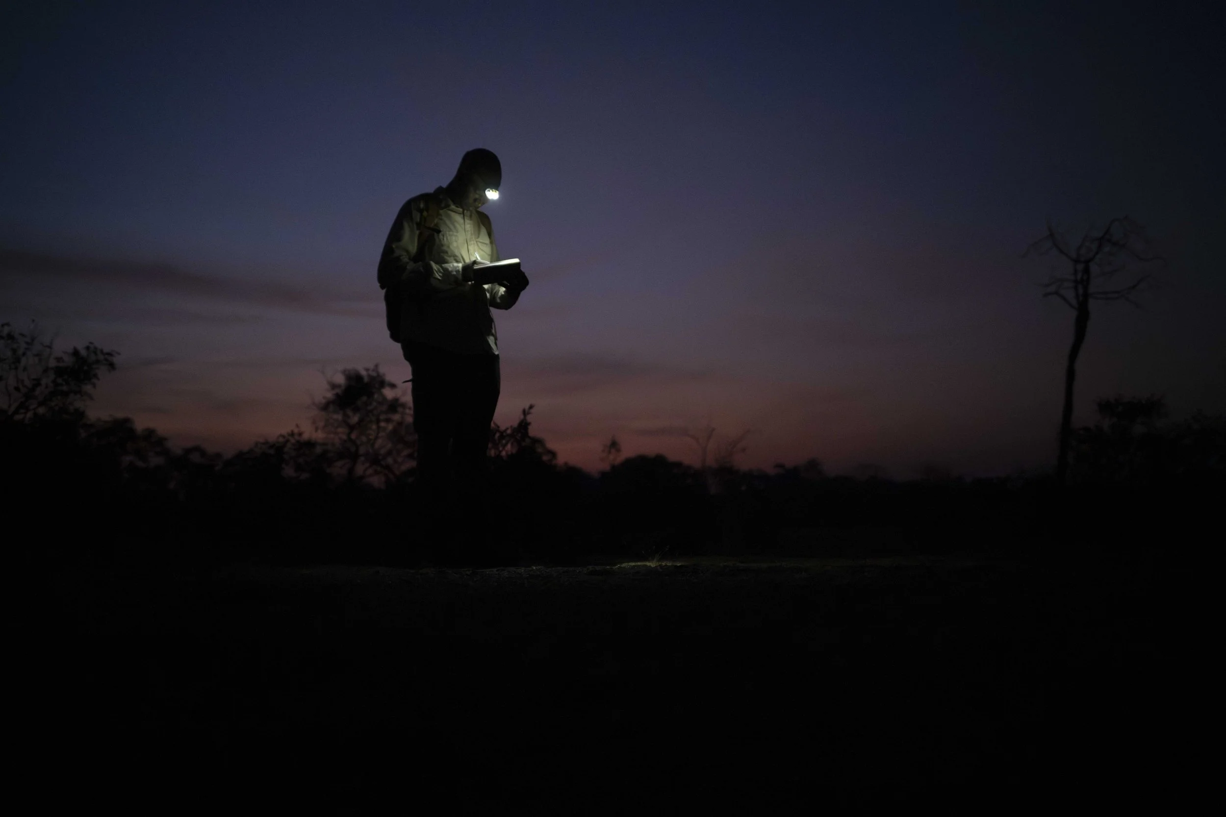 Benjamin Sadd_Humanlike-Chimps of Fongoli-7.jpg