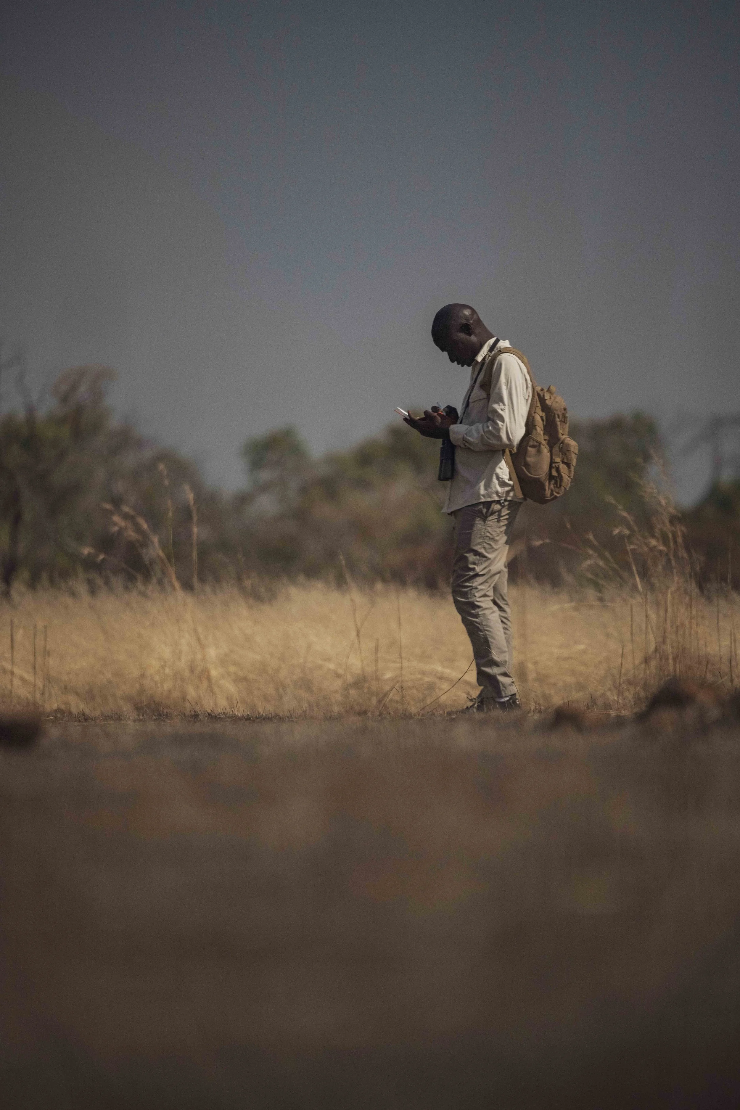 Benjamin Sadd_Humanlike-Chimps of Fongoli-2260.jpg