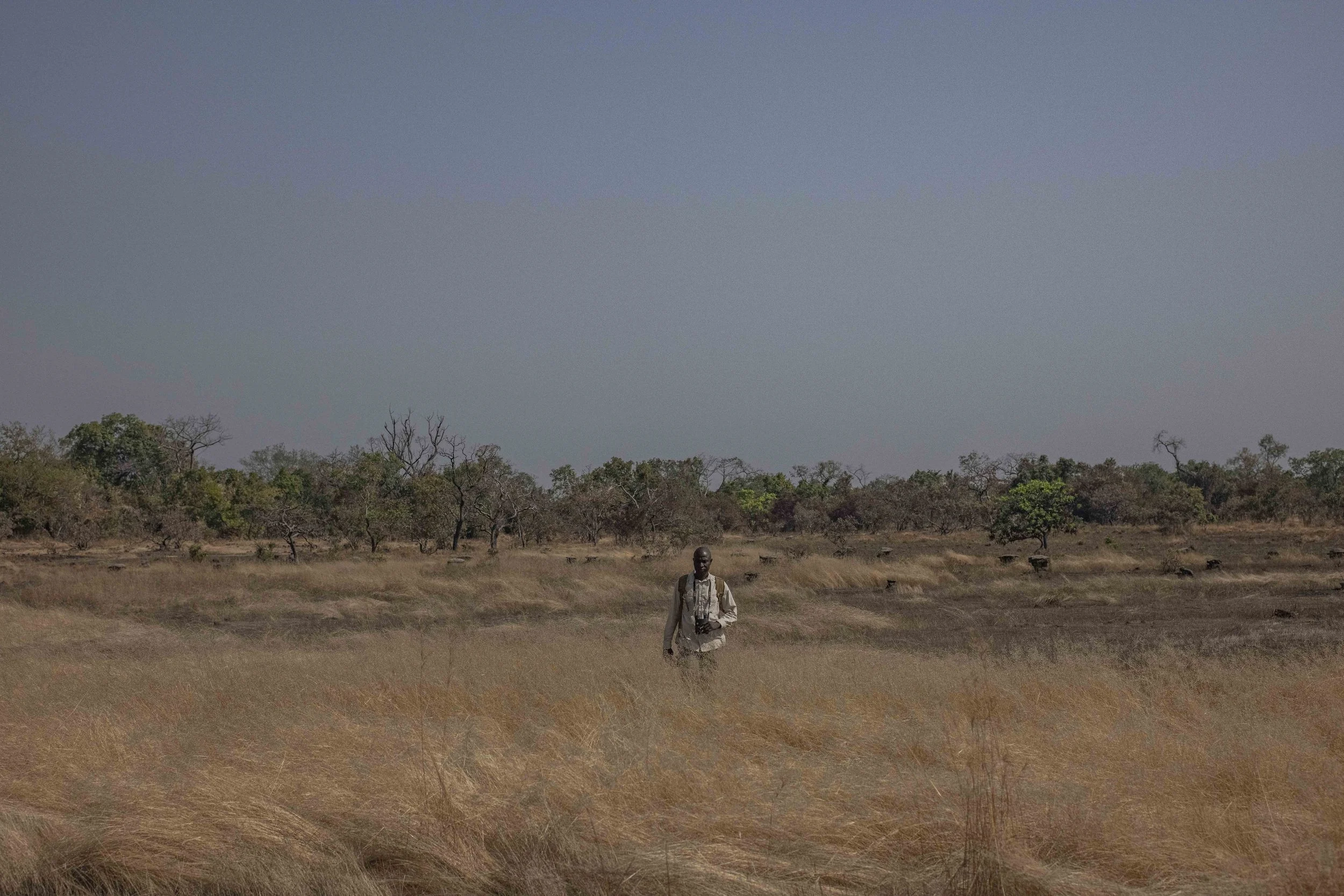 Benjamin Sadd_Humanlike-Chimps of Fongoli-2213.jpg
