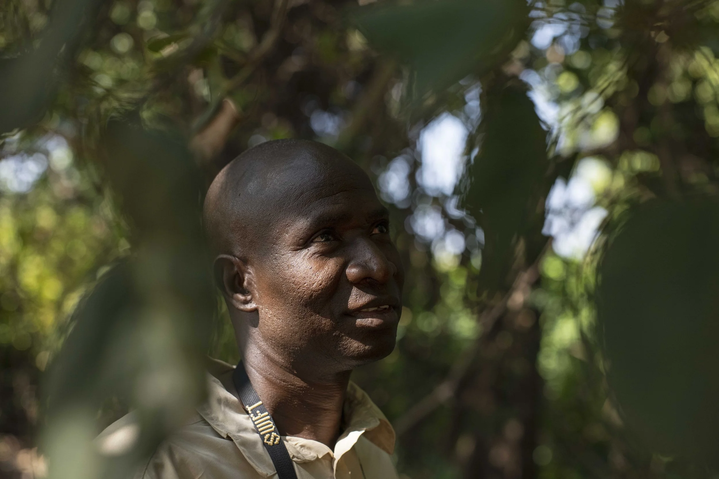 Benjamin Sadd_Humanlike-Chimps of Fongoli-2167.jpg