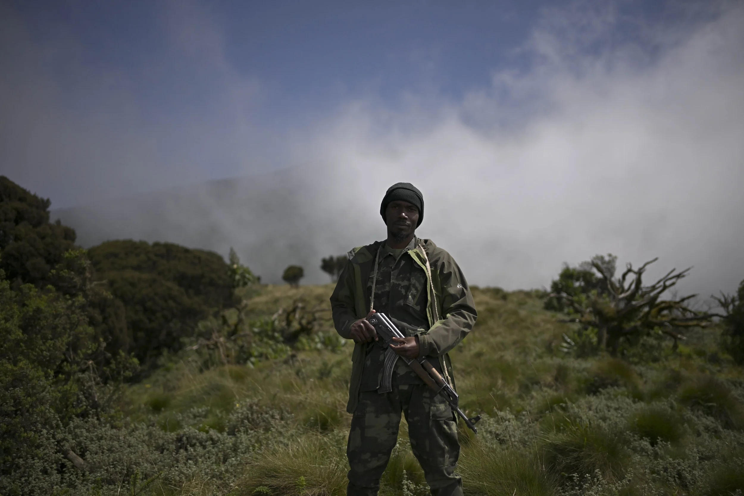 Benjamin Sadd_A Gorilla Story-0637.jpg