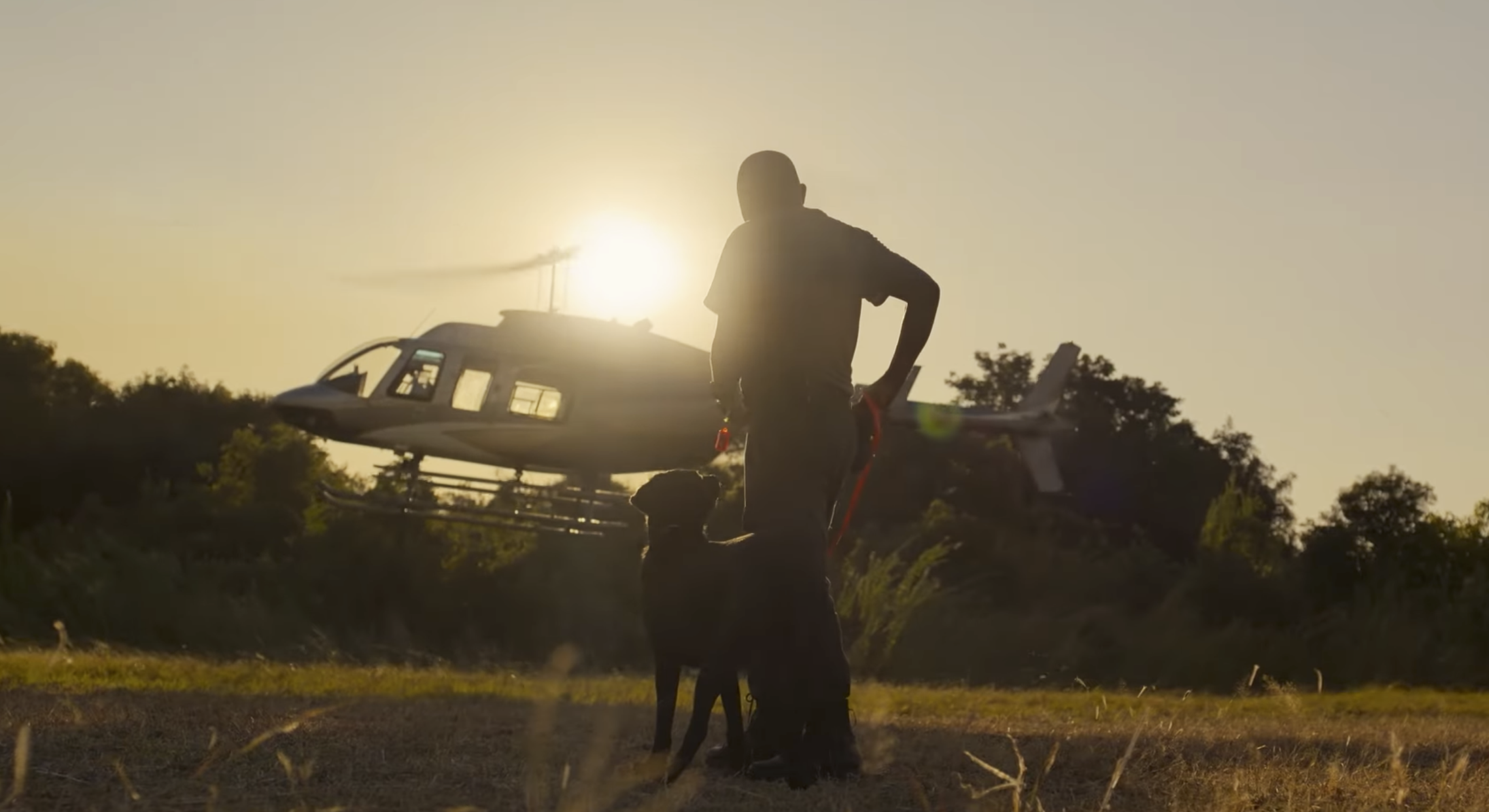 Screenshot 2026-03-24 at 21.29.32.png