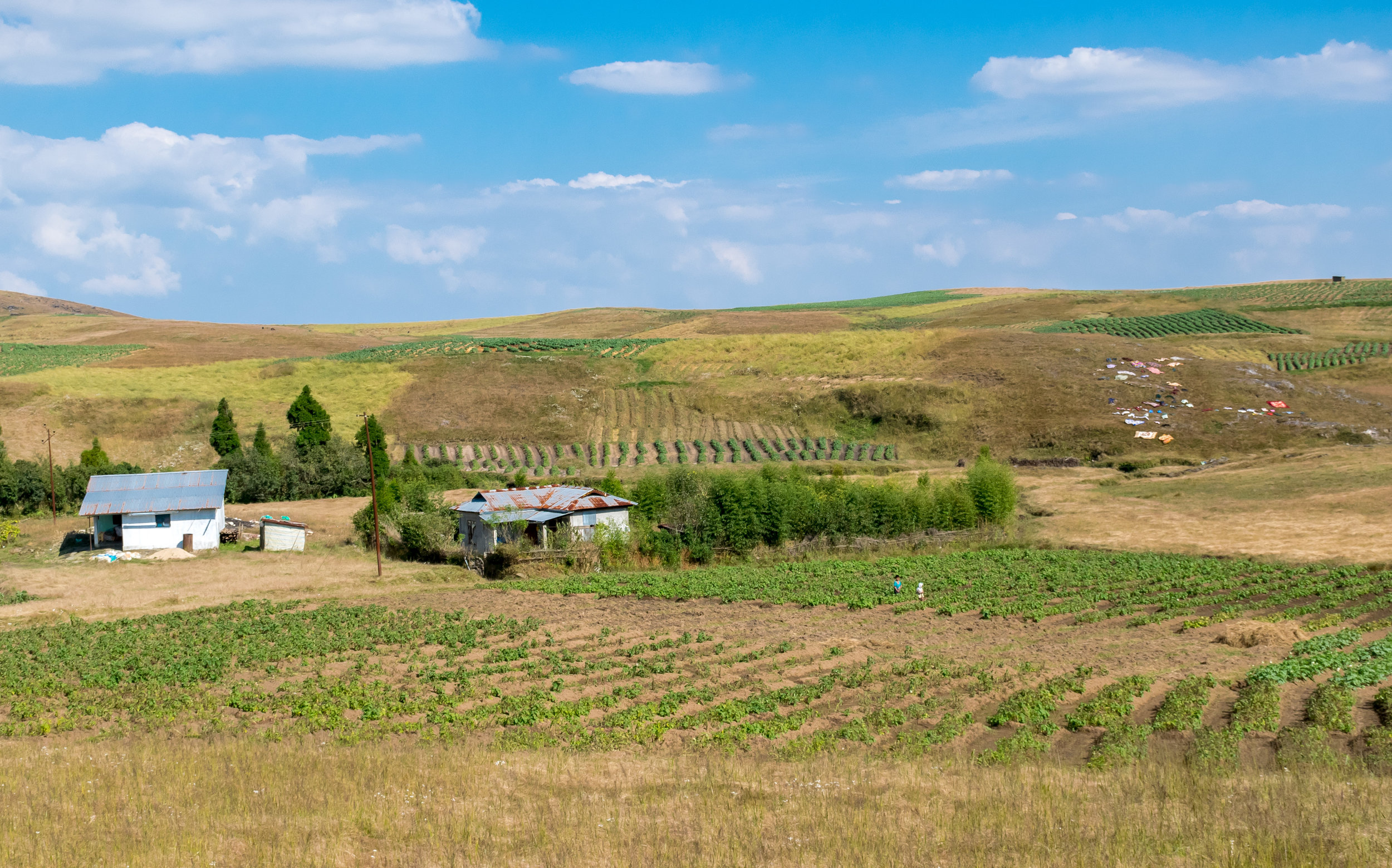 Agriculture in the Hills