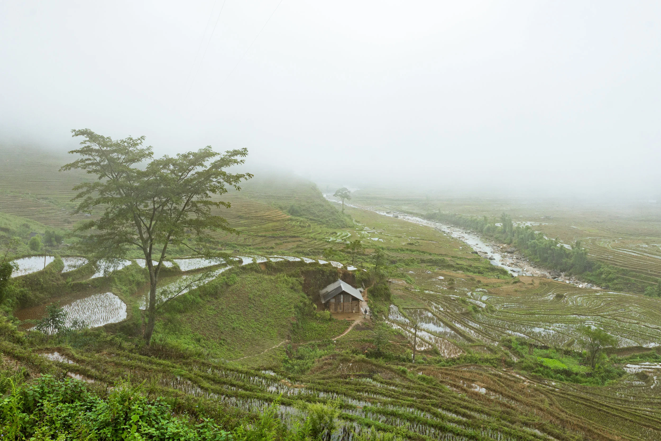 *KL6_6620.jpg