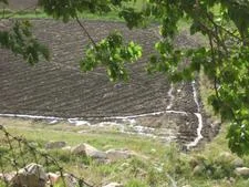 Landmines in the fields--an ever present danger