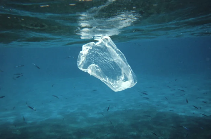 plastic.jpg