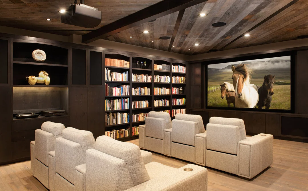 Rustic Multi-Purpose Home Theaters in 