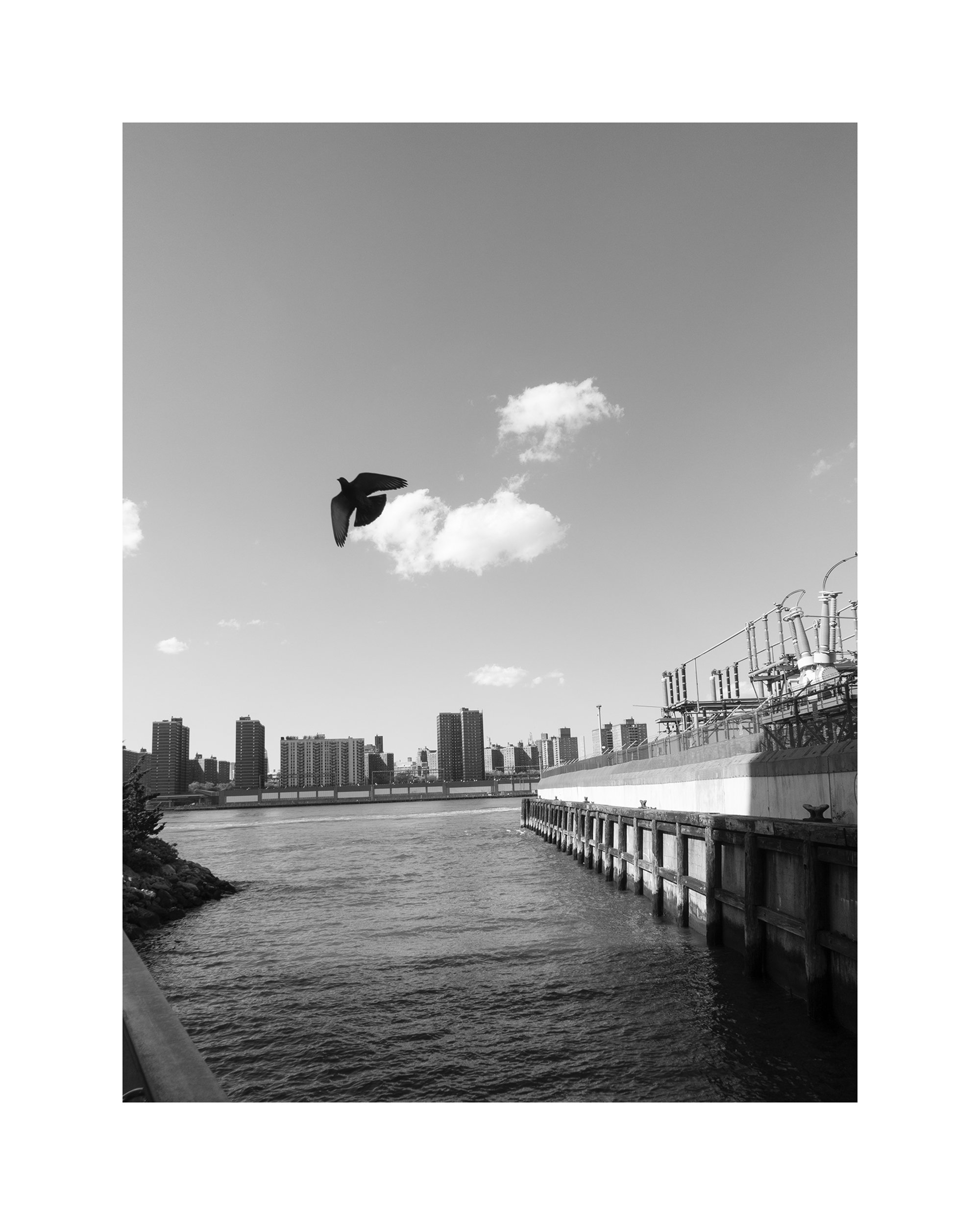    Bird/Clouds/Water, Dumbo, 05.03.20  