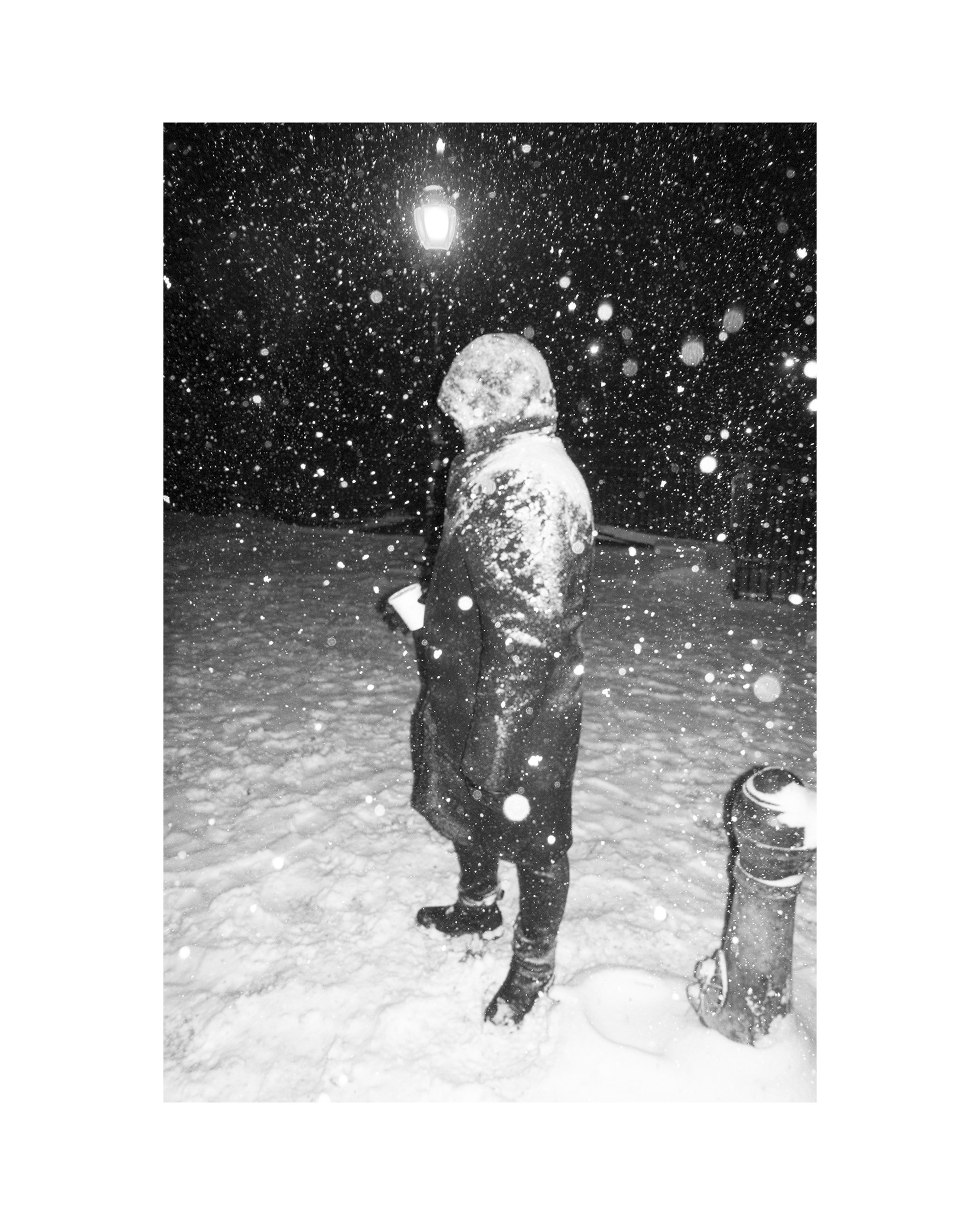   Elle in the Snow at Maria Hernandez, 12.16.20  