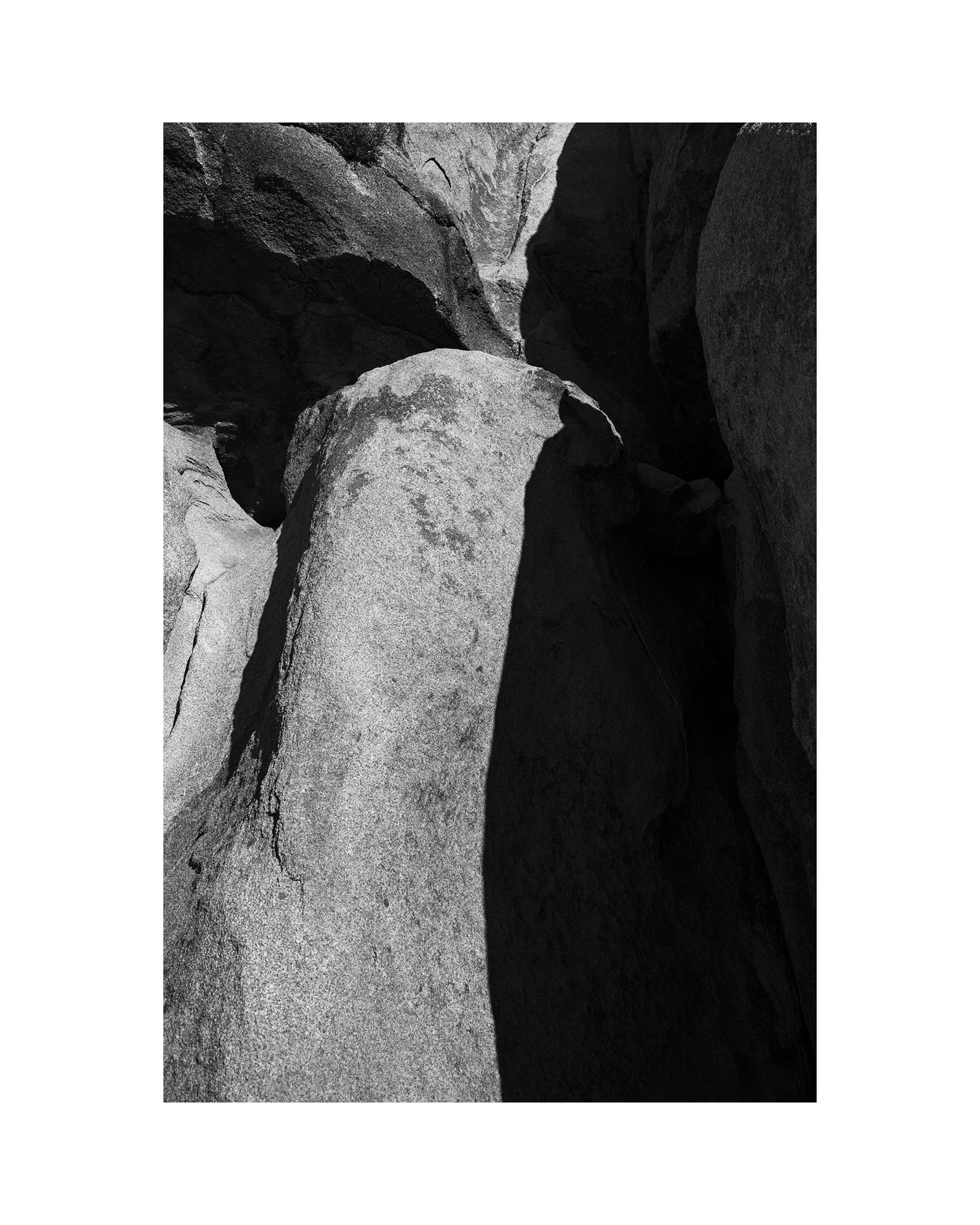 JOSHUA TREE SHADOWS I.jpg