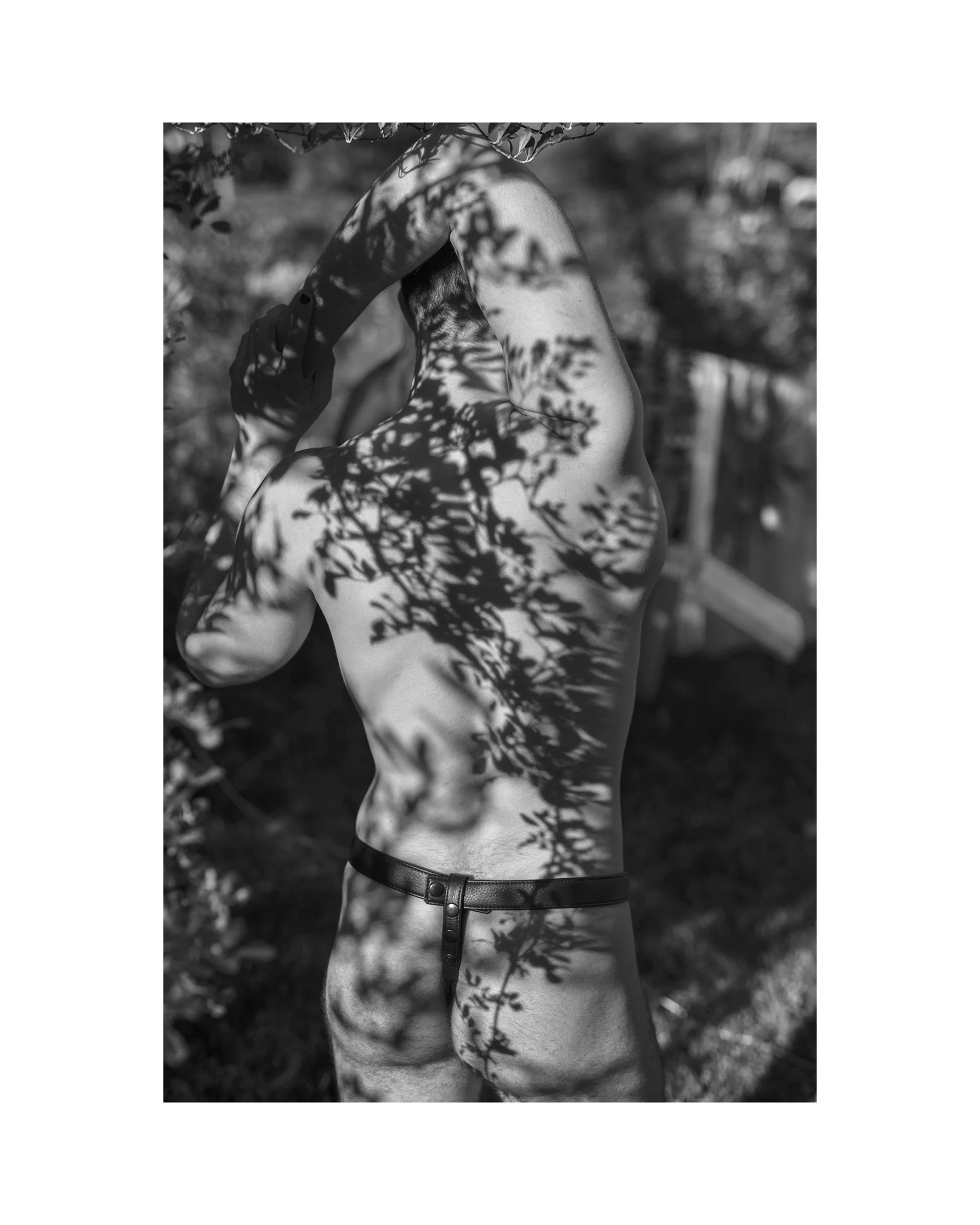 MATTHEW SHADOWS II.jpg