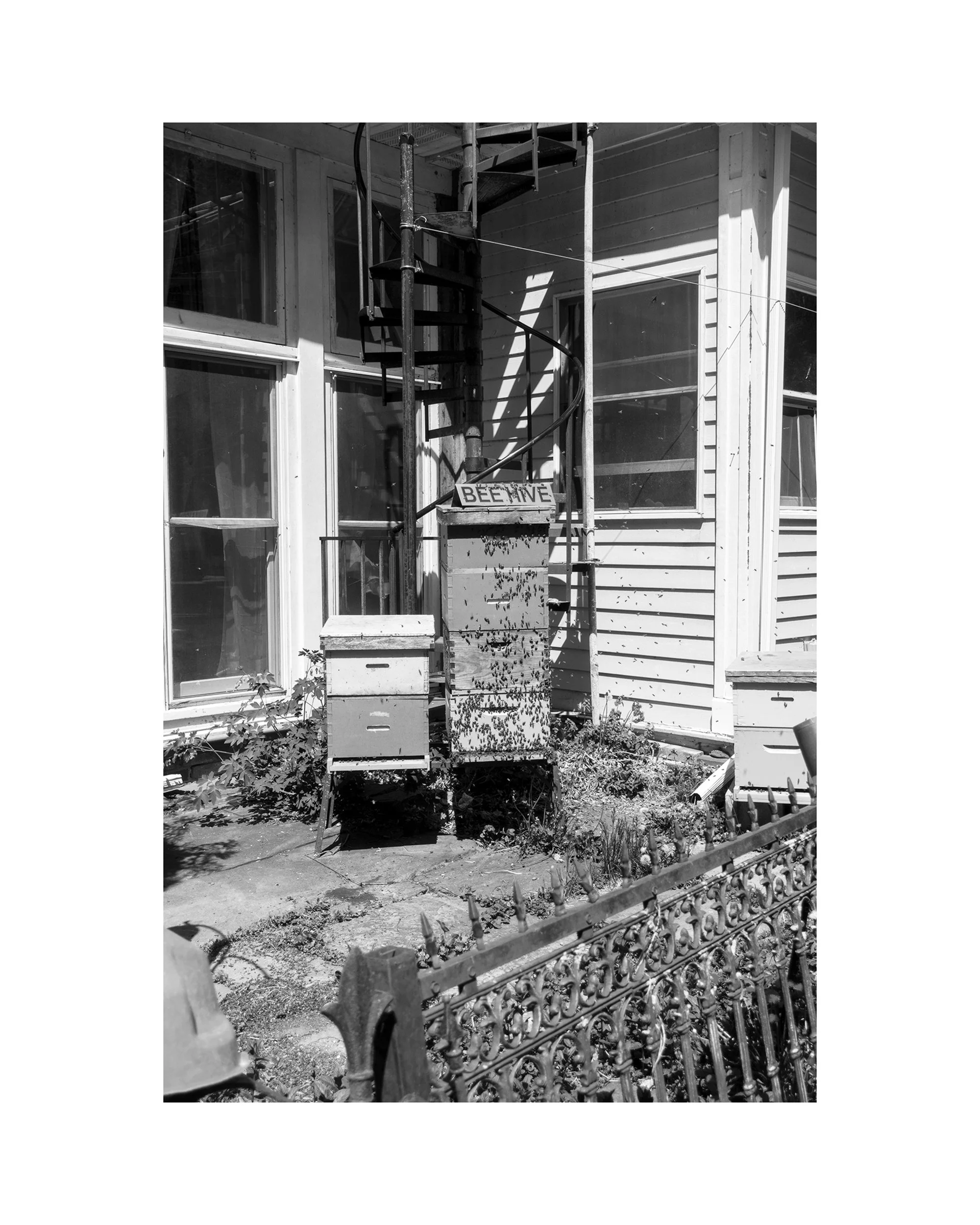   Tim’s bees, Tivoli, NY, 05.02.24  