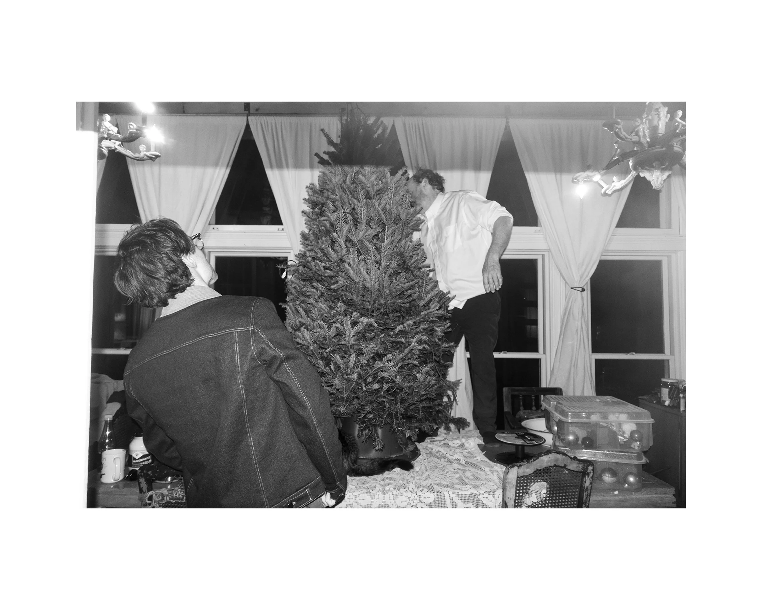   Tim putting up the Christmas tree, Tivoli, NY, 12.12.24  