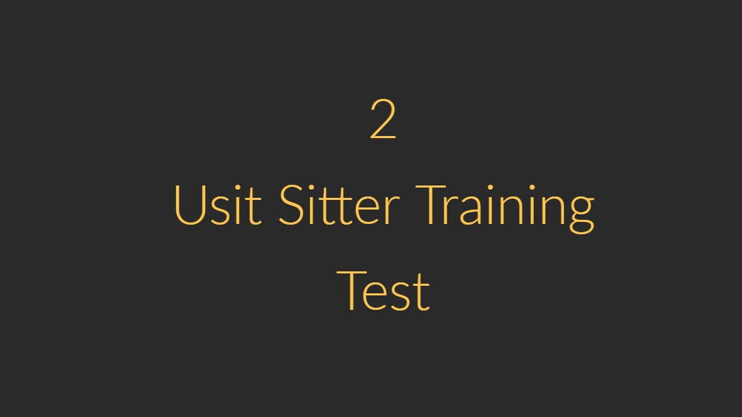 We teach our sitters well. Each sitter has to take a Usit training test which covers babysitting basics: Etiquette, how Usit works, situational questions and tutorials in case of an emergency, and Code of Conduct.