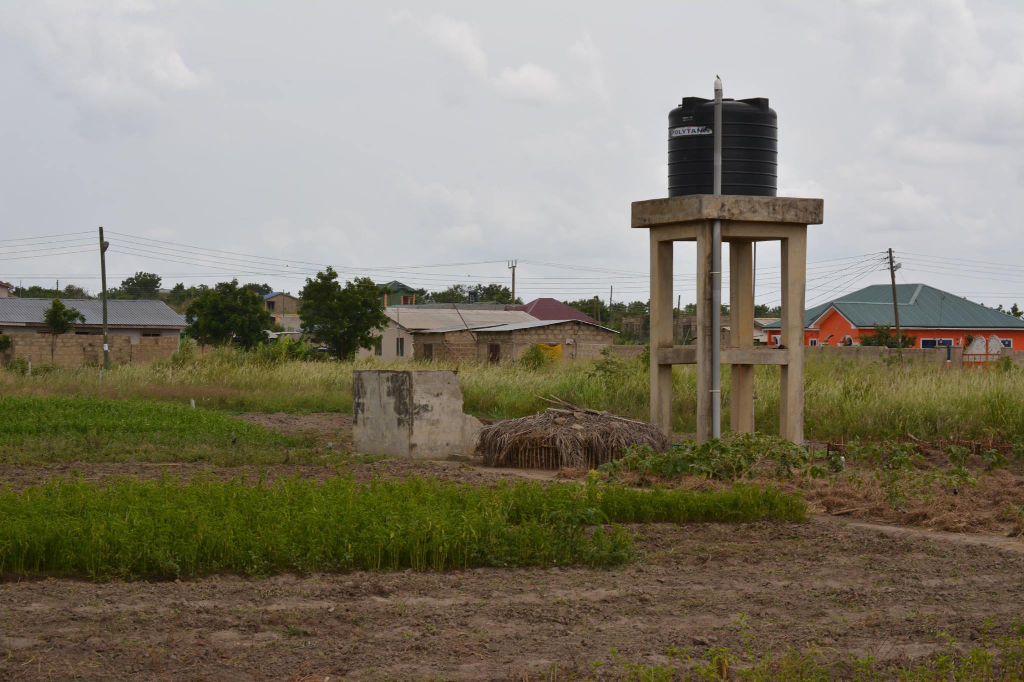 3-Agriculture farm.jpg