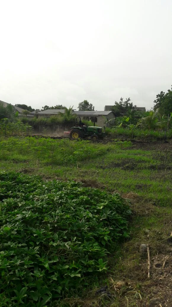 3-Agriculture.jpg