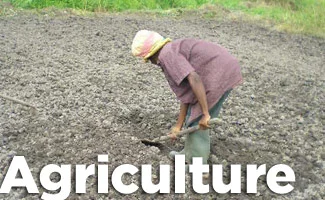 Agriculture.jpg