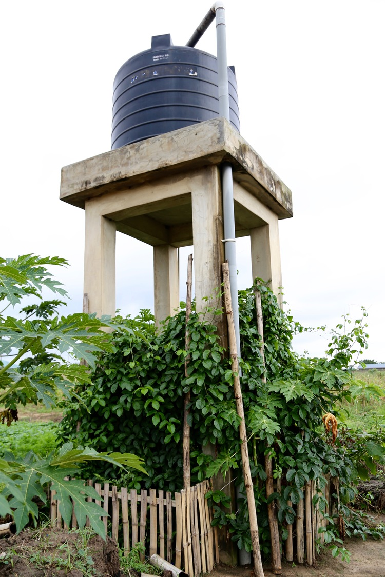 Sundbergs water tank at PHG farm.png