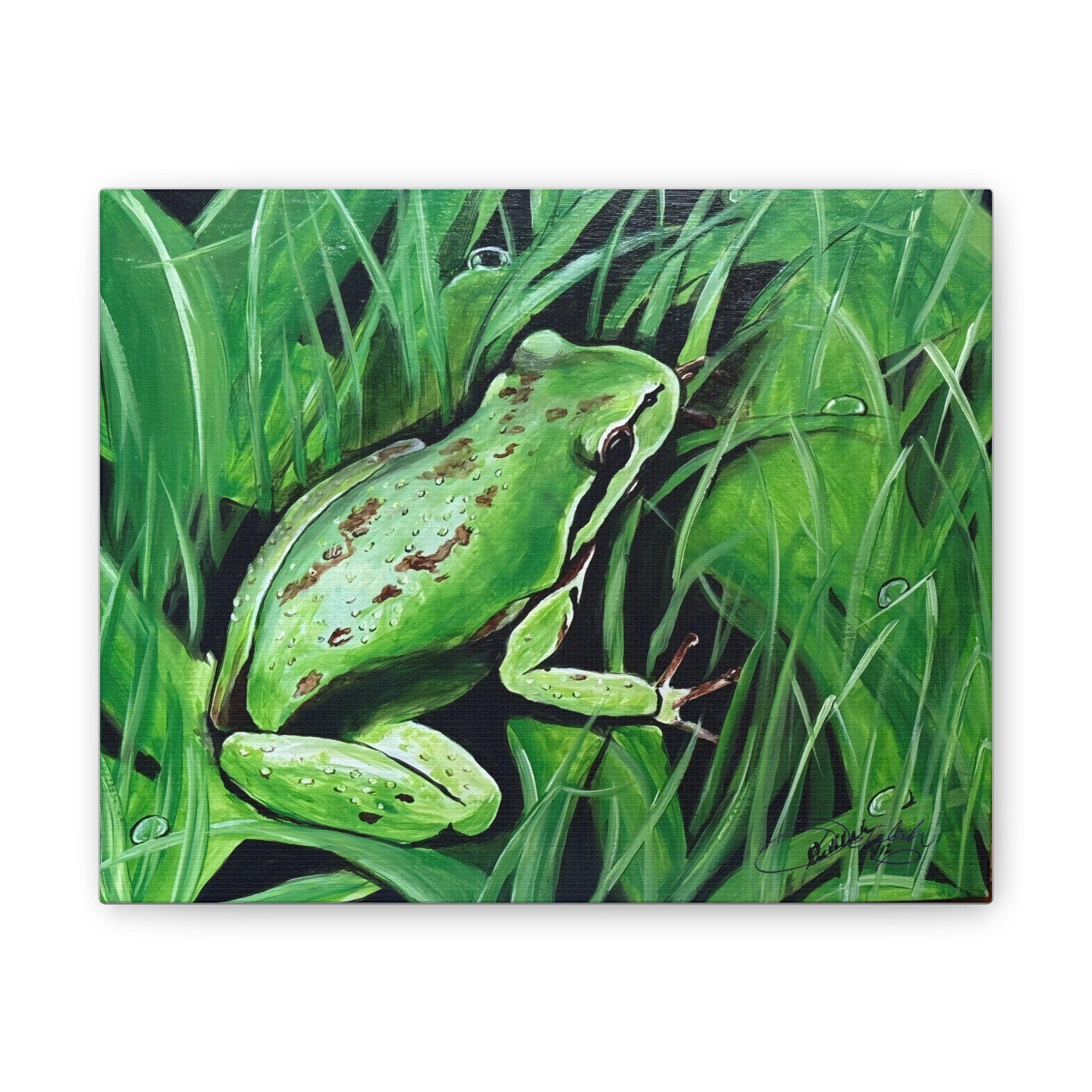 82a14f664a5cc82419434331068aa34e