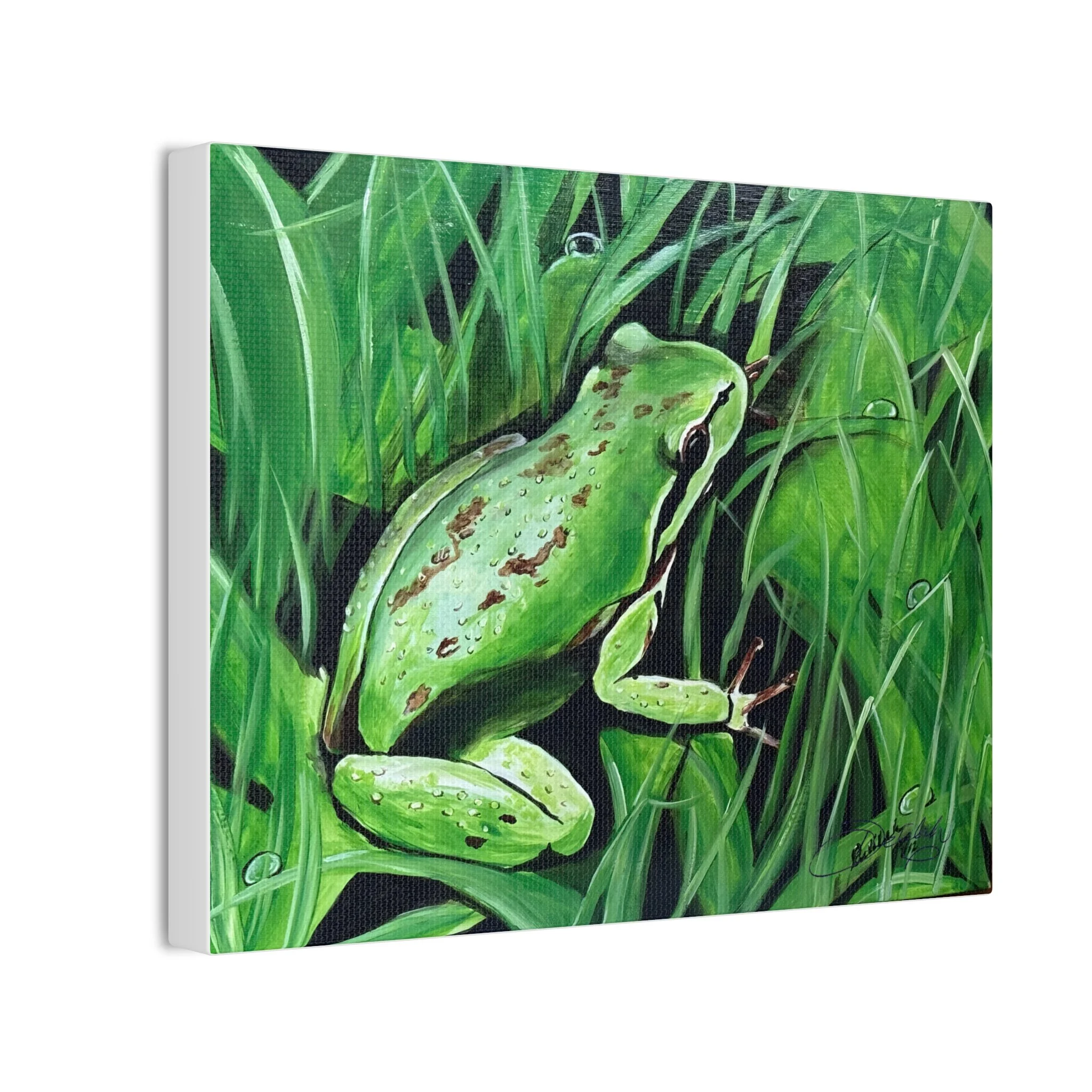 3774f5166abff7515fbf16a40e16553b