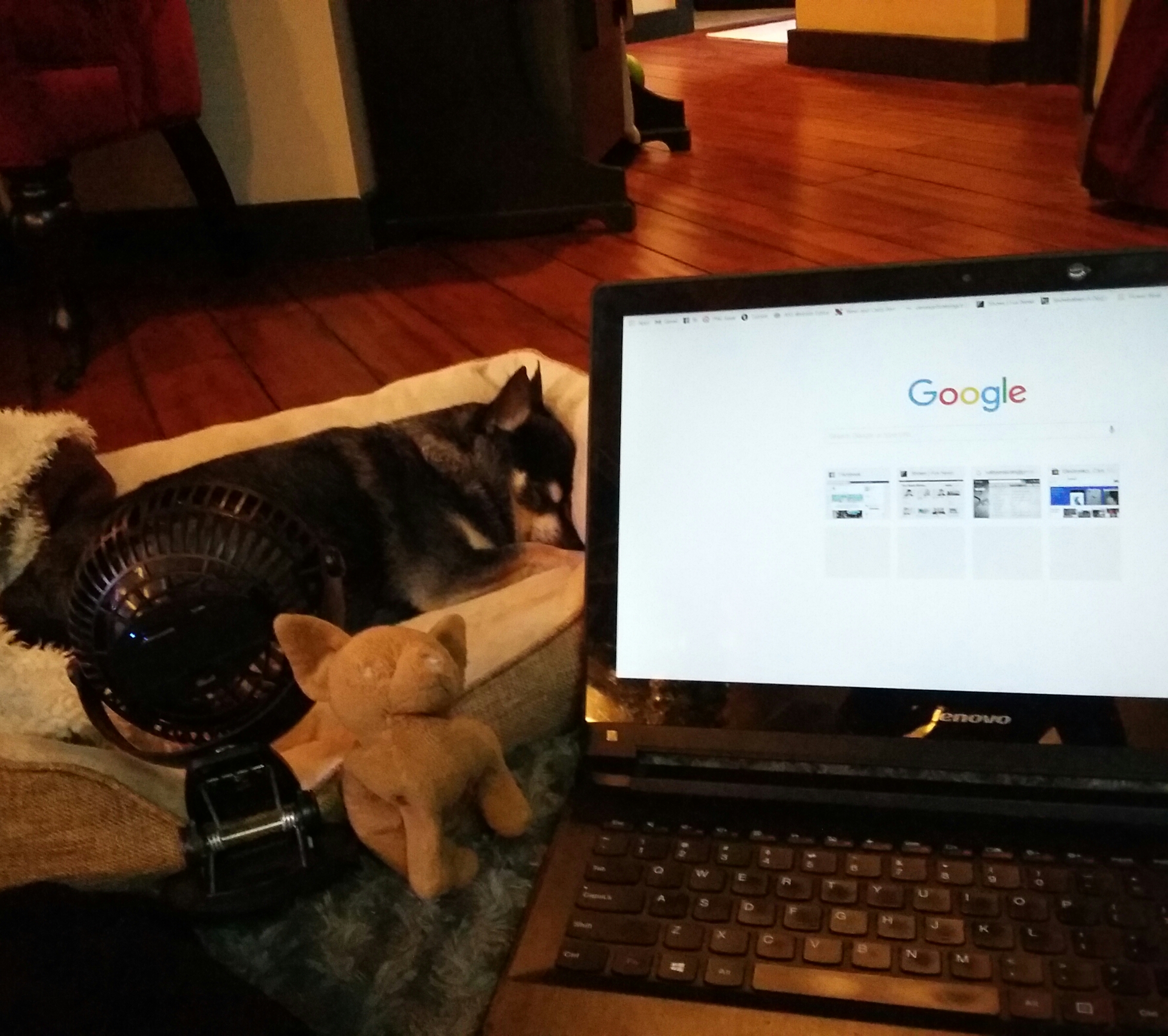 Google It (With A Grain of Salt)