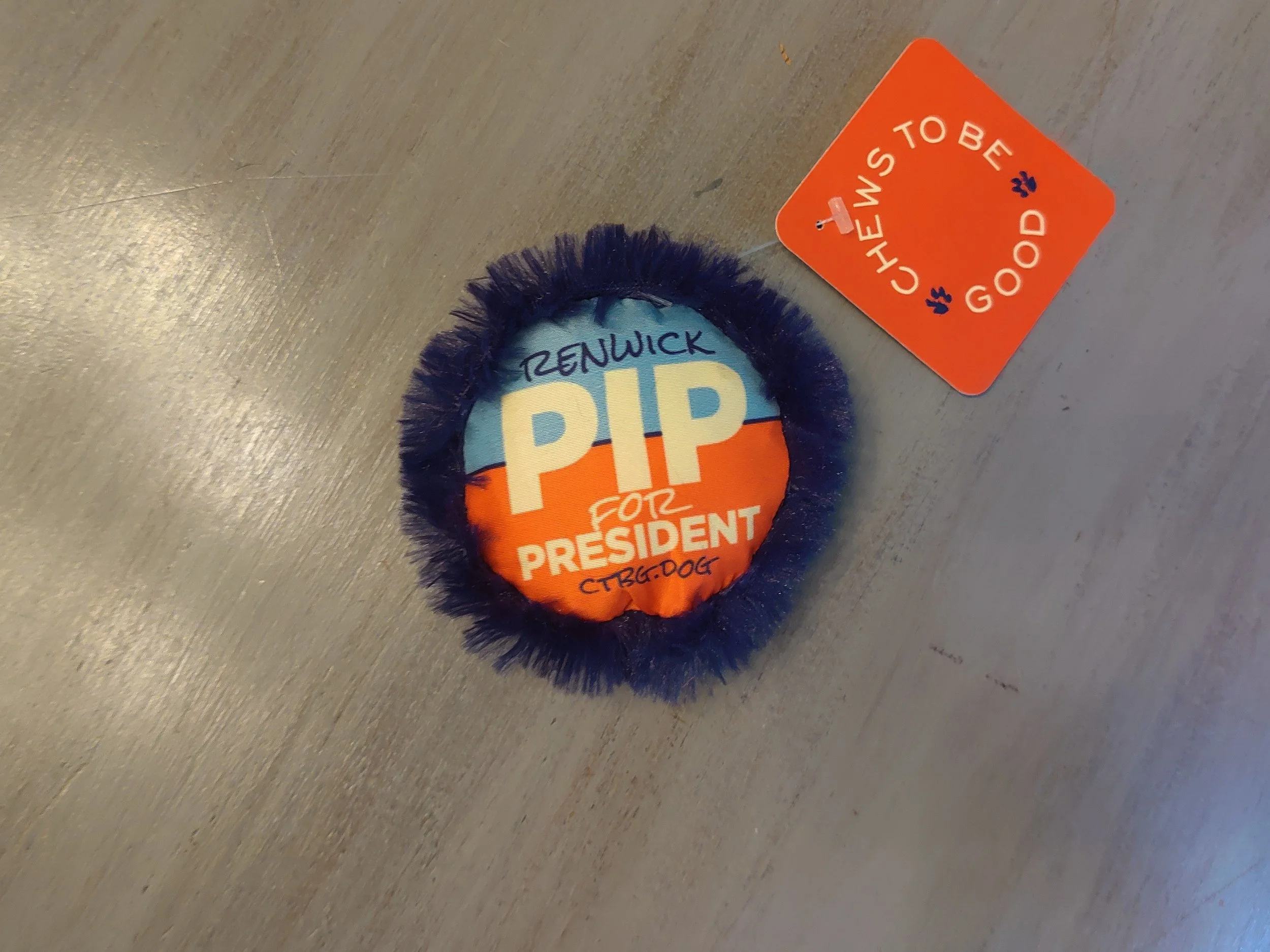 Pip-Squeakers: Presidentail Campaign Button