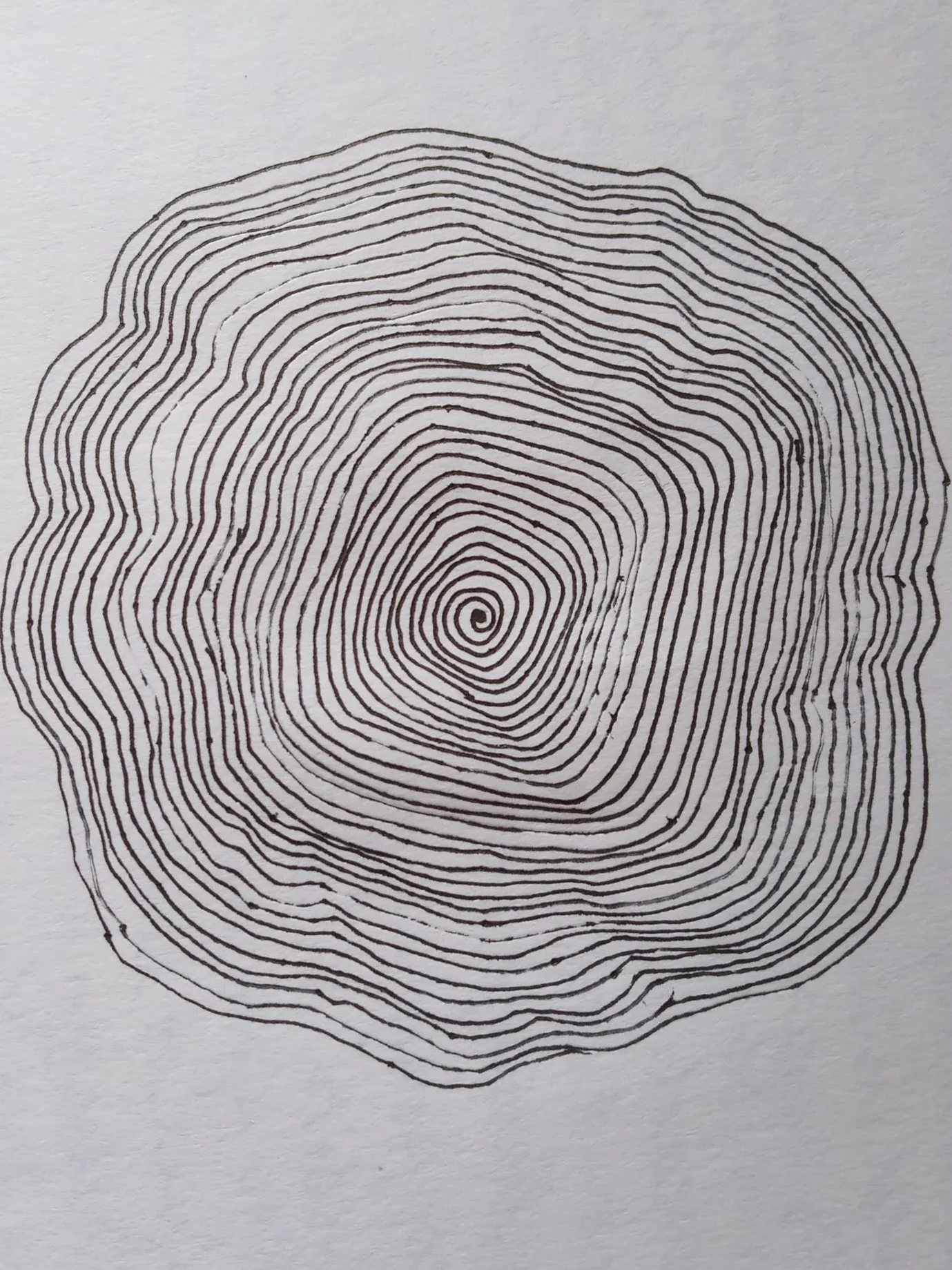 spiral.jpg