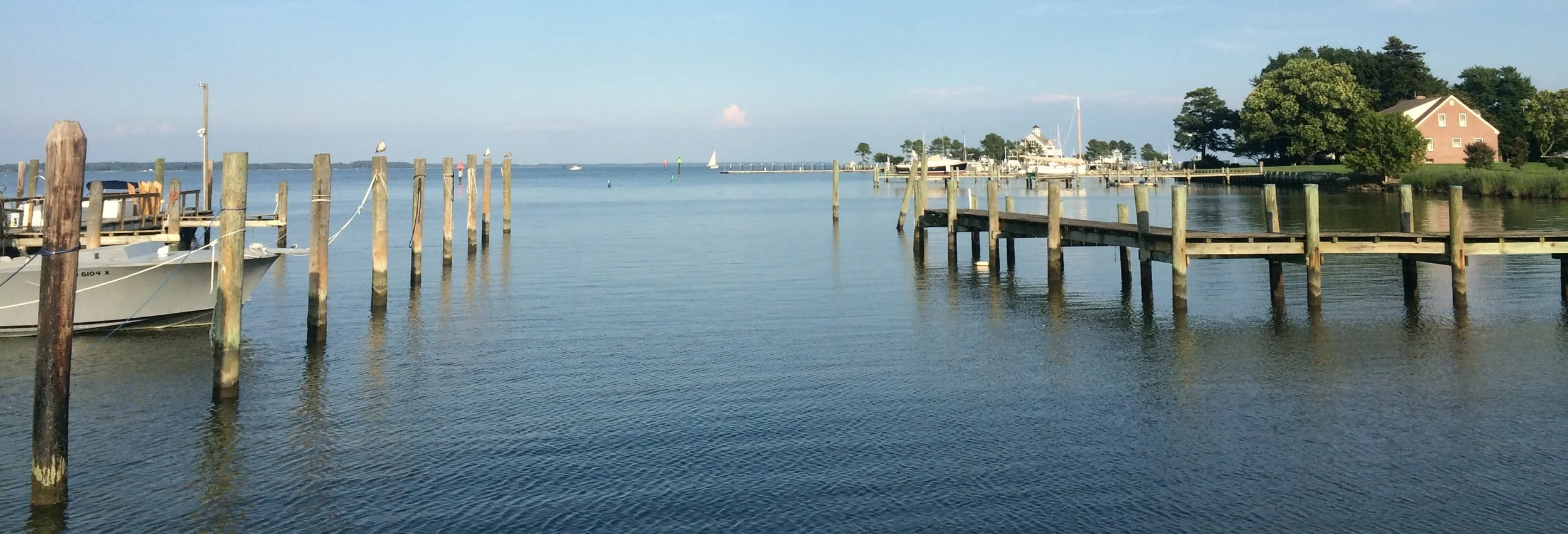 "Chesapeake Bay view from Maryland"