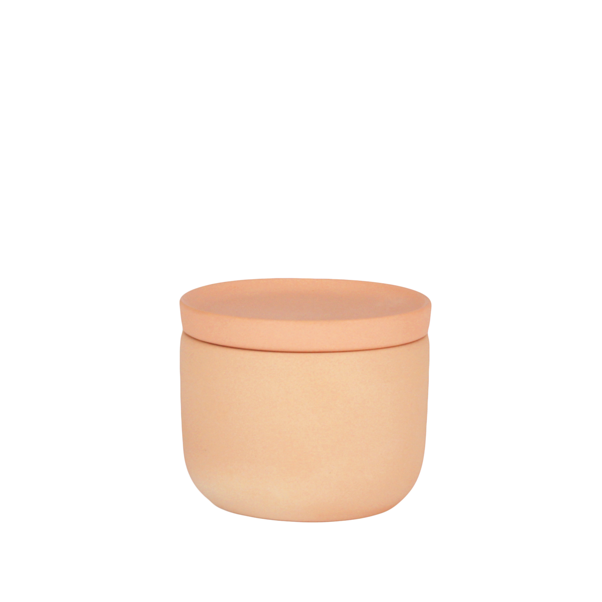 terra cotta cellar.png