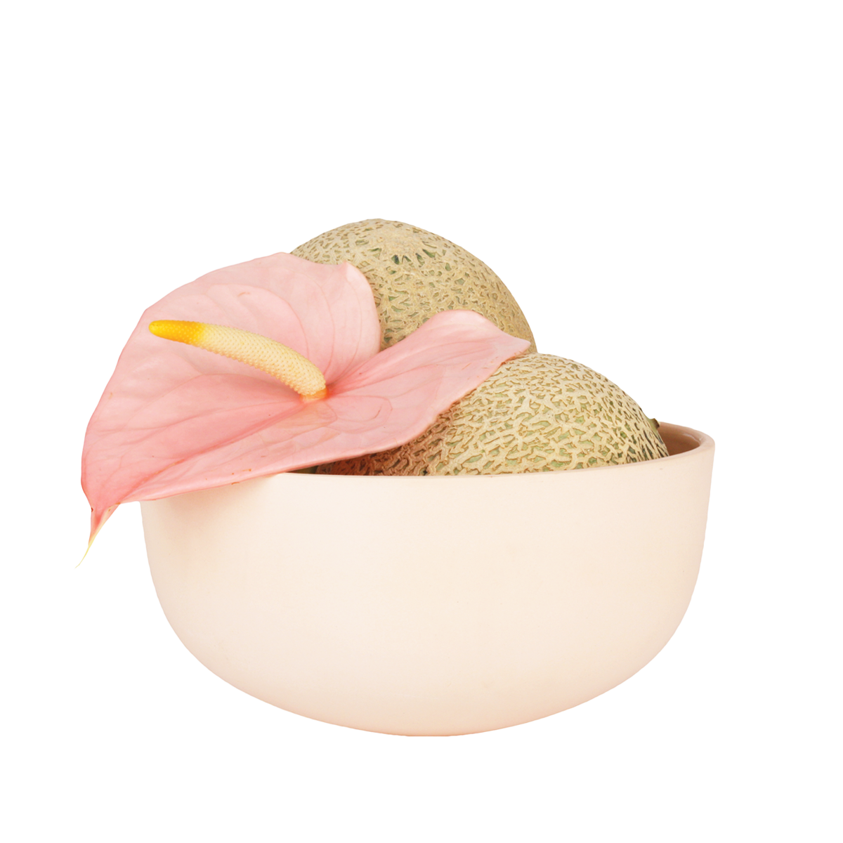 real fruit bowl (1).png