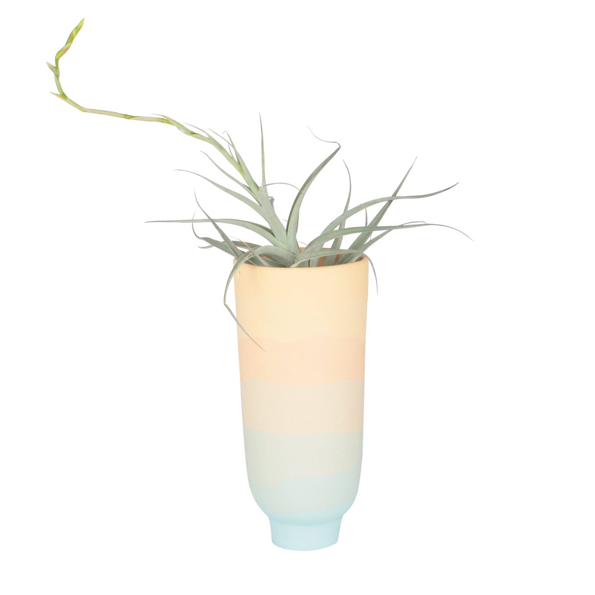 sunset vase (1).png