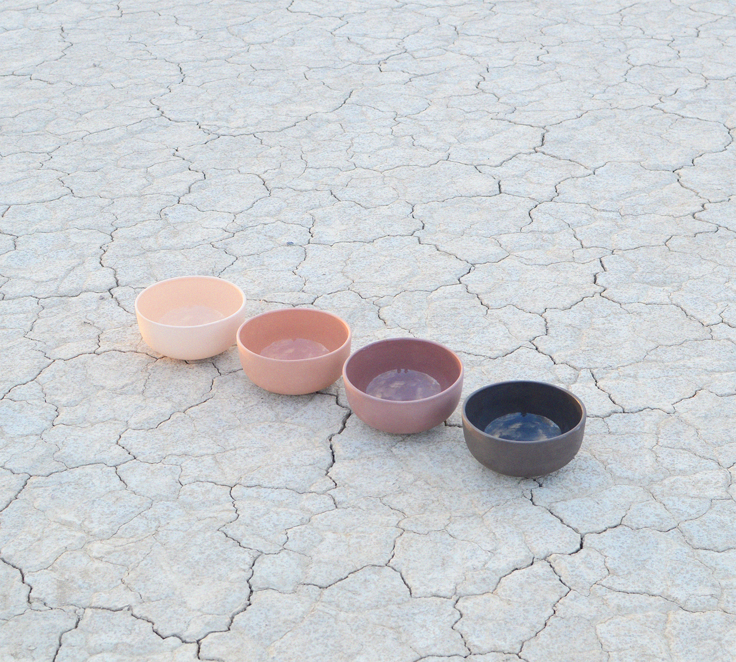 DSC_8231 (2).png