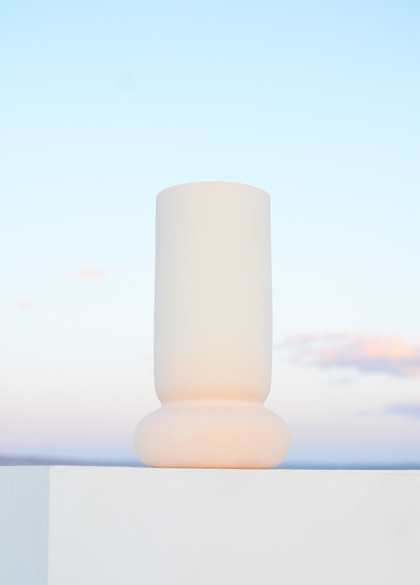 illusion vase (2).png
