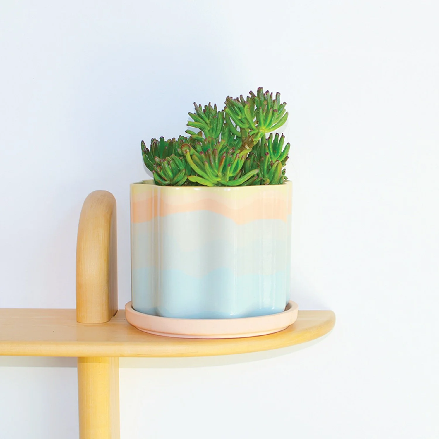 Seconds Medium Sunset Wavy Planter