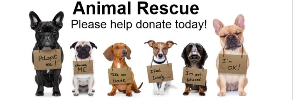 Animal Rescue Center