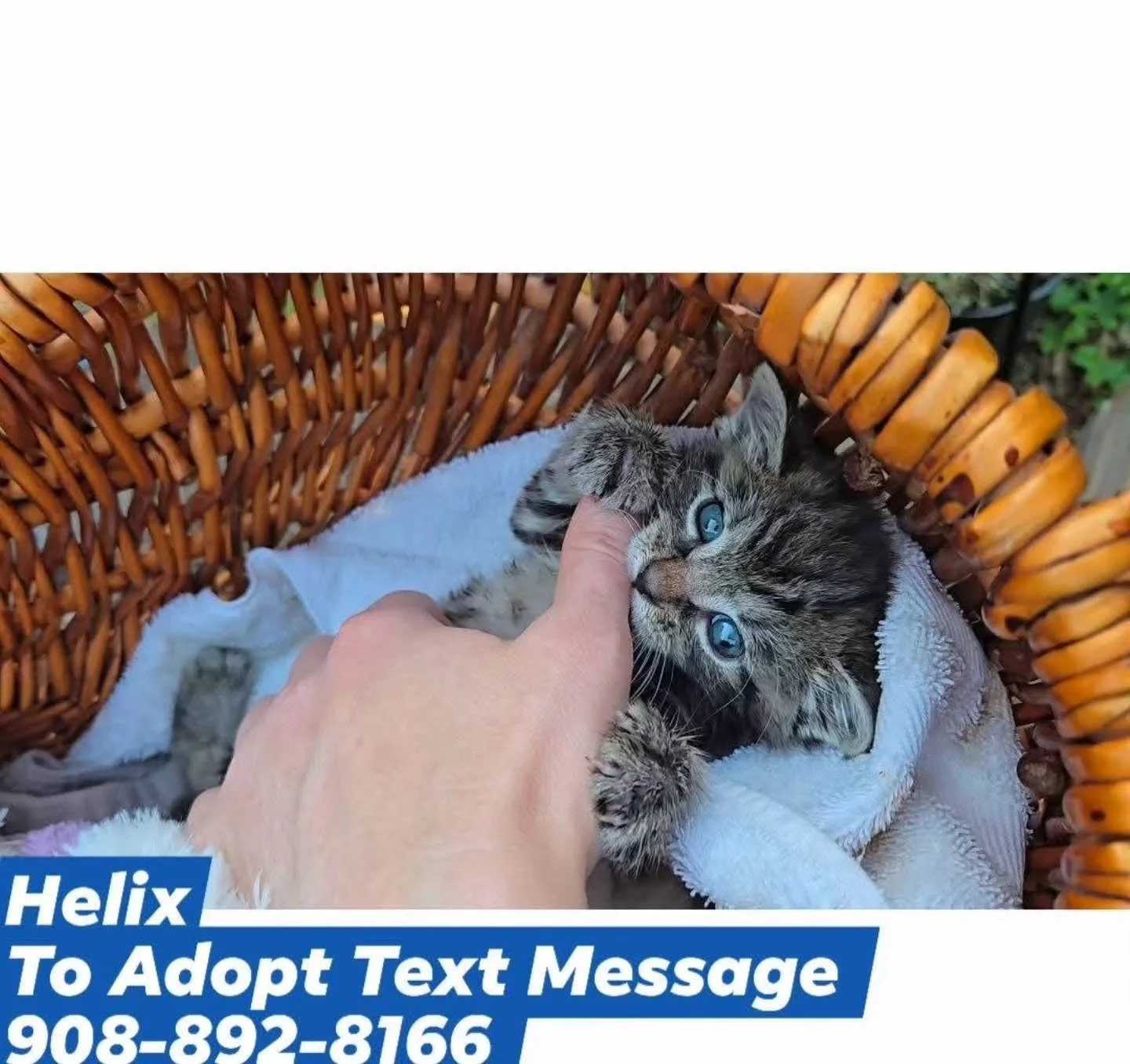 759824084_1335983622035602_8852574618123659147_n.jpg