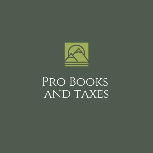 Pro Books and Taxes Temp Logo (1).jpg