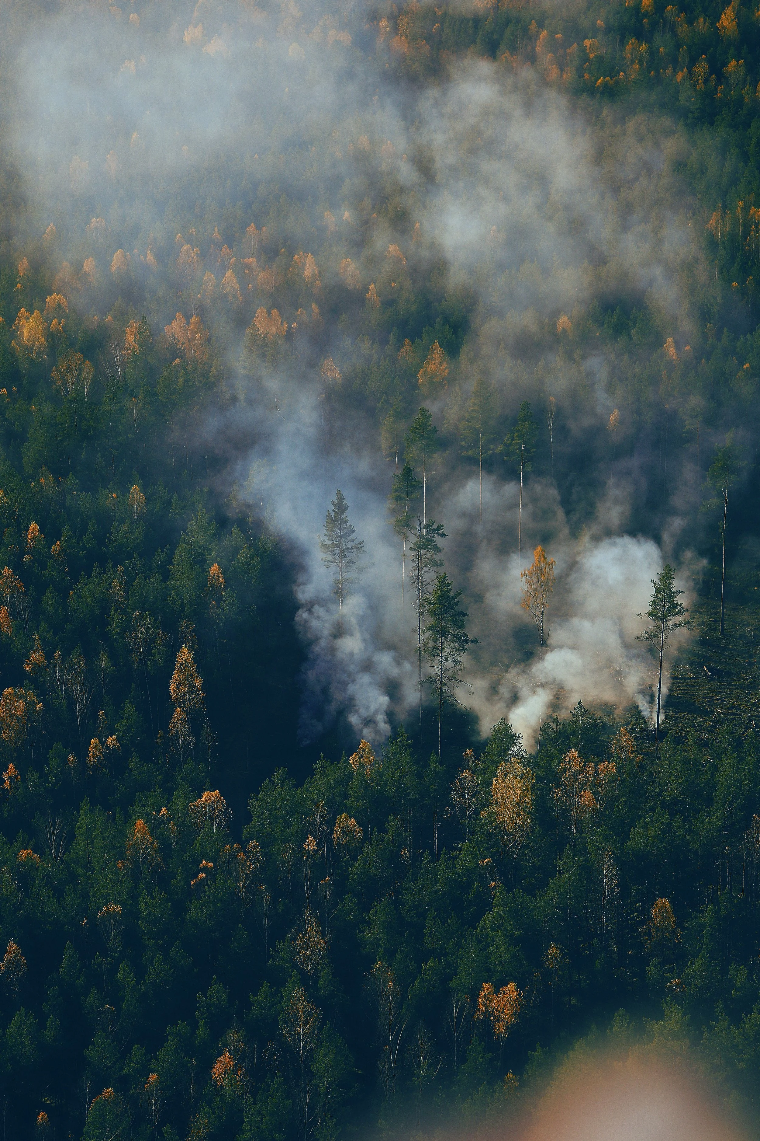 No Snow, Then Smoke: Resources for Colorado's Small Businesses