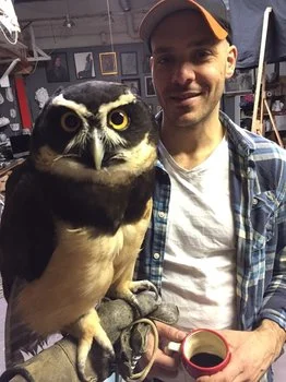 Birds of Prey.jpg